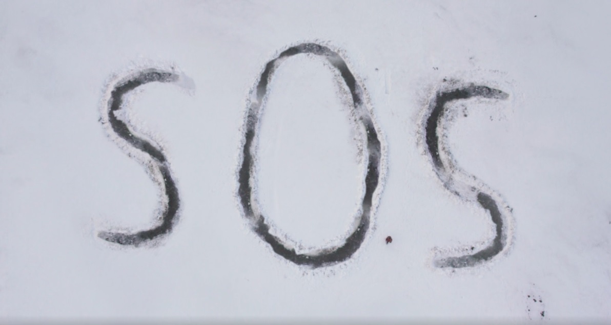 Vindecarea inimii. O lecţie din filmul „Arctic”