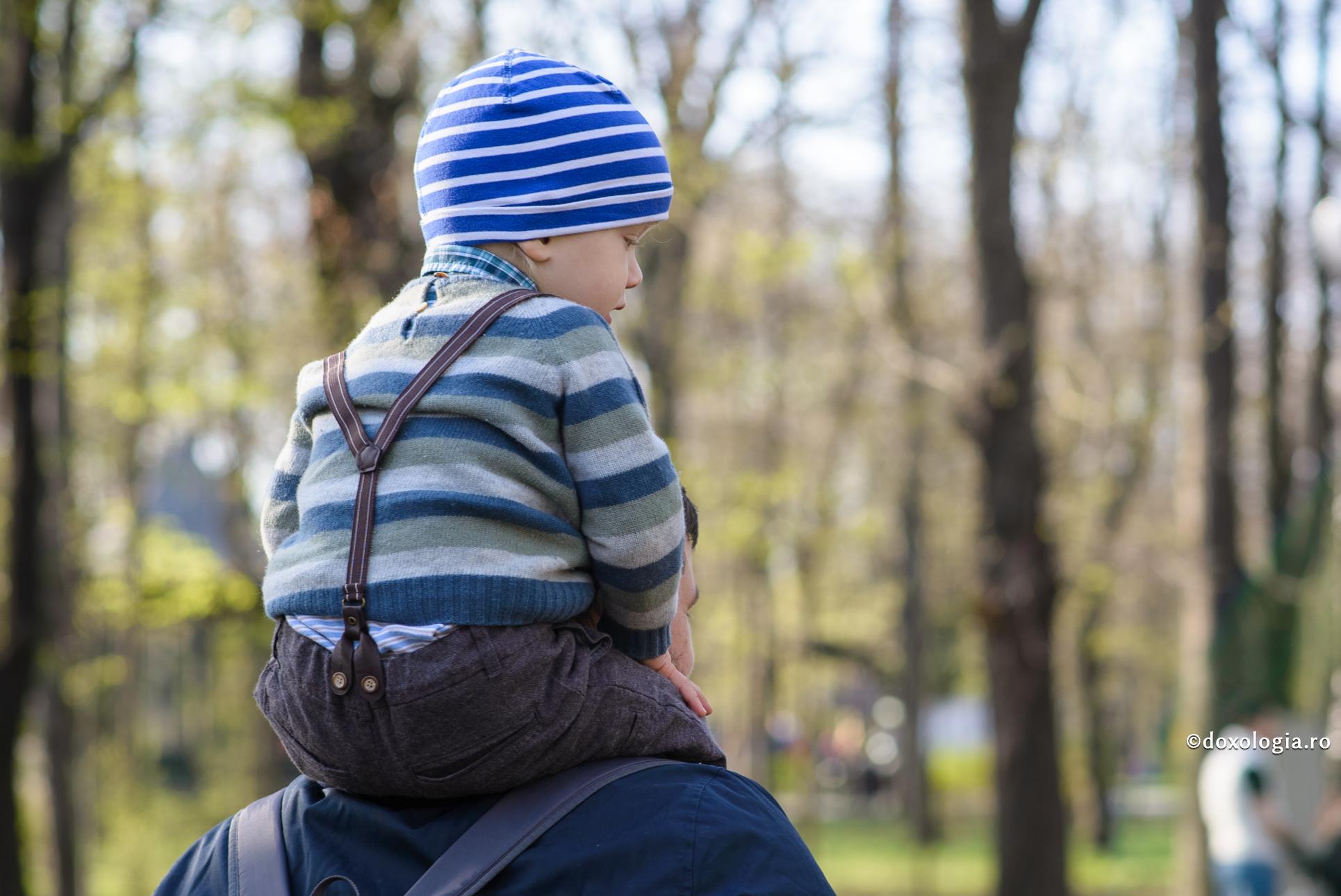 Pe ce anume să insist în educația copilului? Pe ce anume să insist în educația copilului?