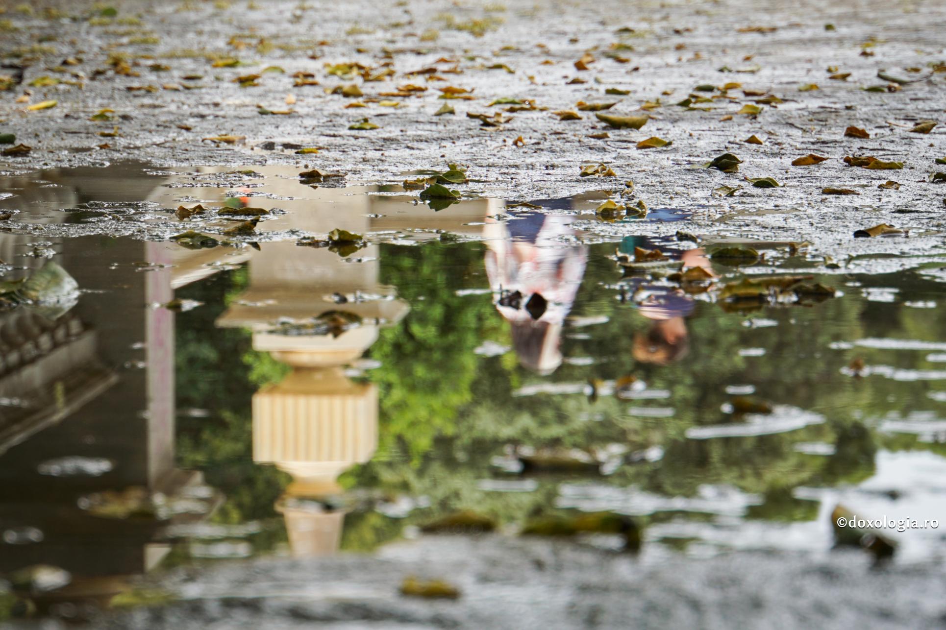 Foto: Oana Nechifor Întâmplarea