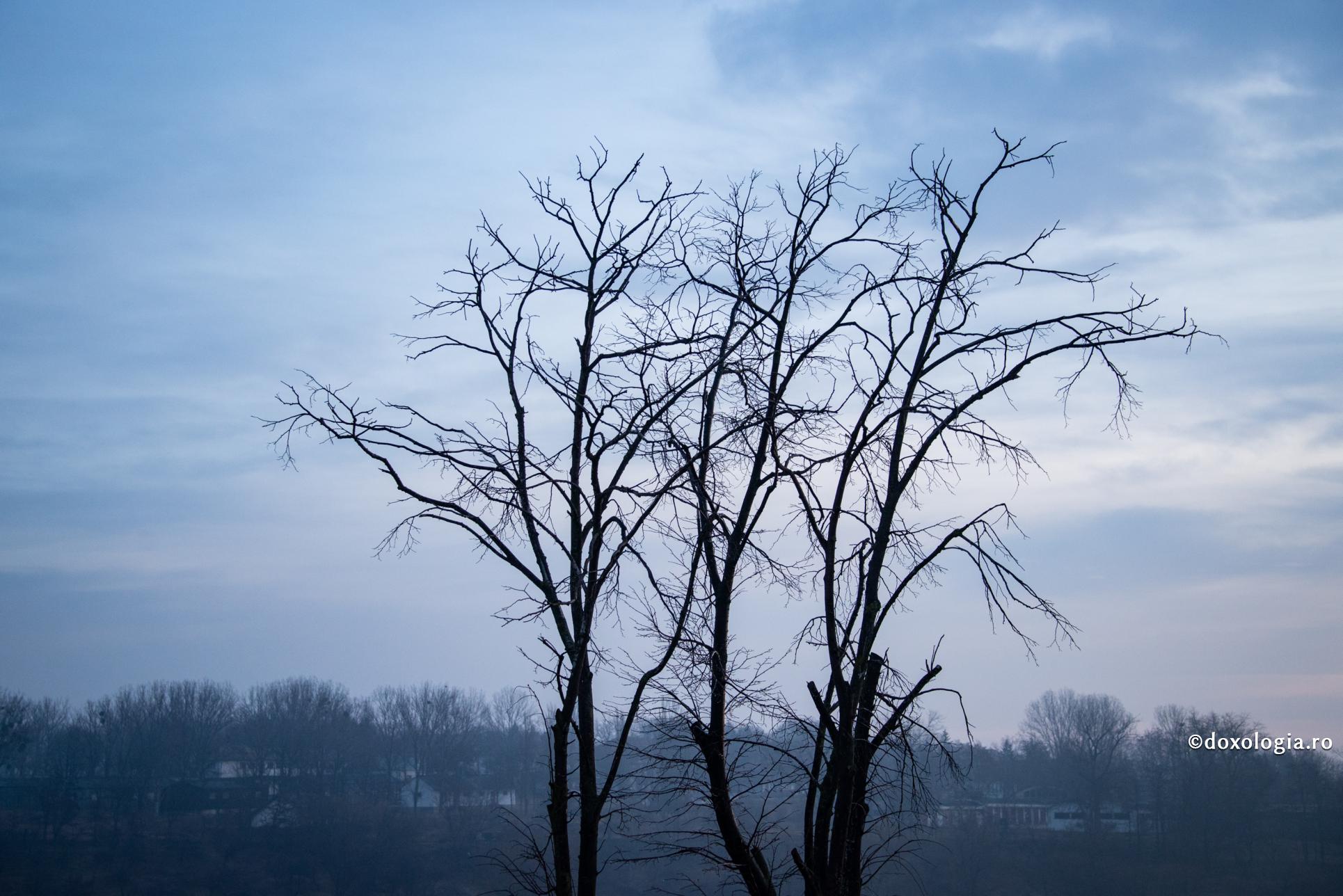Darul Sfântului Duh poate schimba omul din temelii