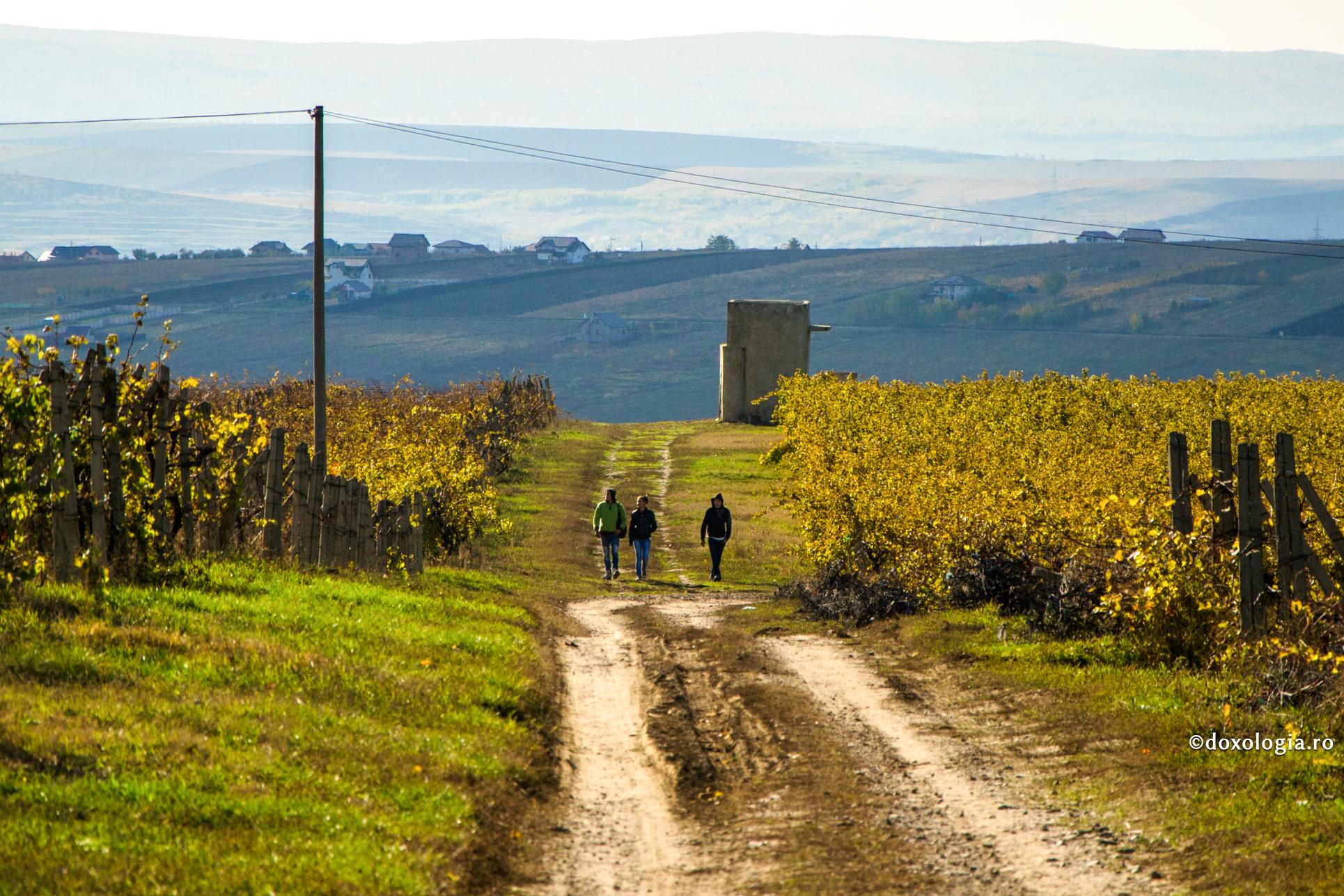 Foto: Silviu Cluci Anturajul rău strică învățătura bună