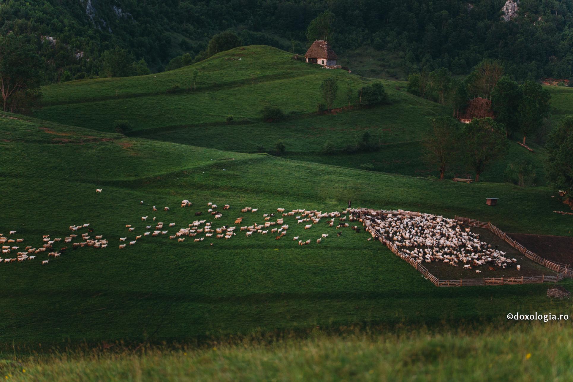 Cea mai înaltă școală de călugărie