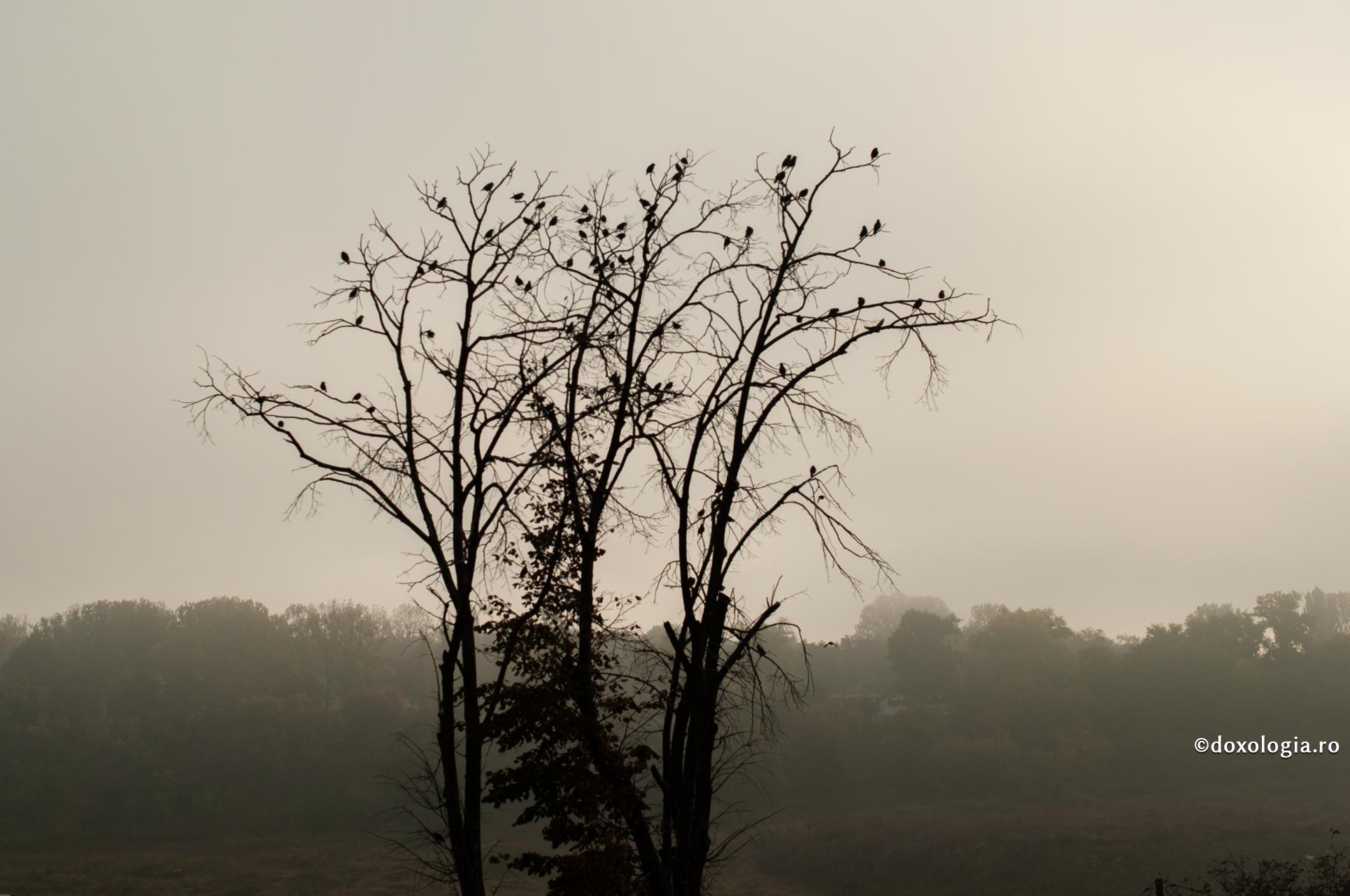 Suferința prin care trecem în aceste zile este o mustrare a lui Dumnezeu?