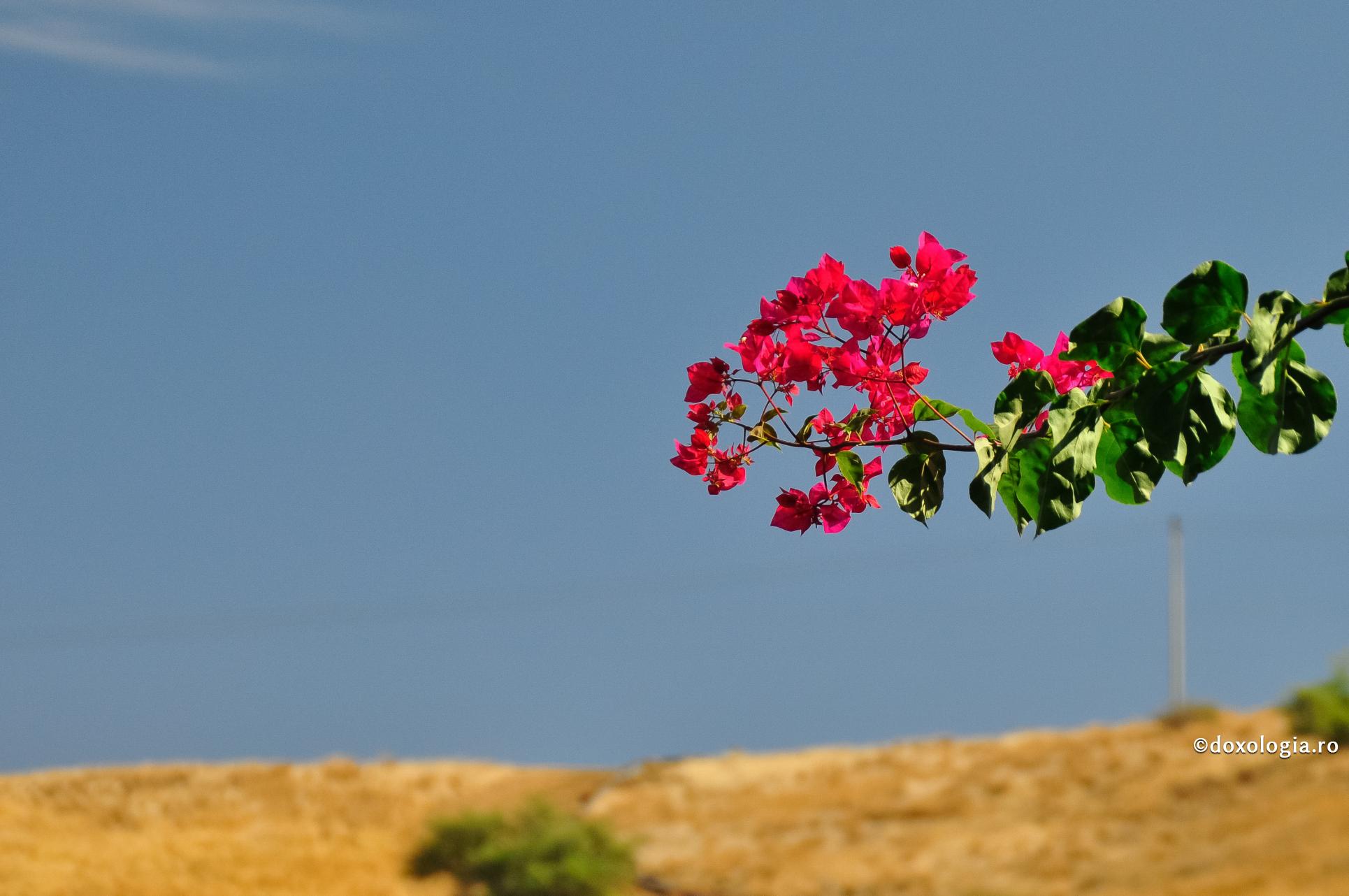 Gândurile bune aduc sănătatea duhovnicească