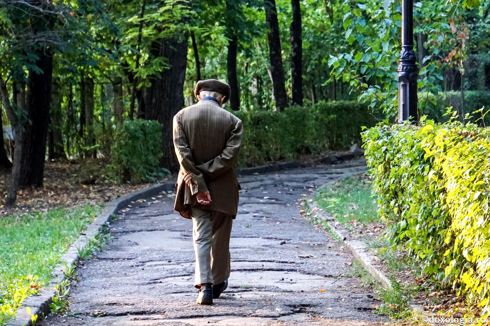 foto: Magda Buftea Oleacă de meditație! Știți că trăim în lumea lui „oleacă”?