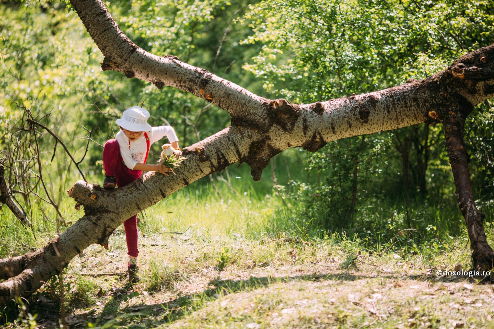 Ispitele corespund întotdeauna slăbiciunii firii omeneşti