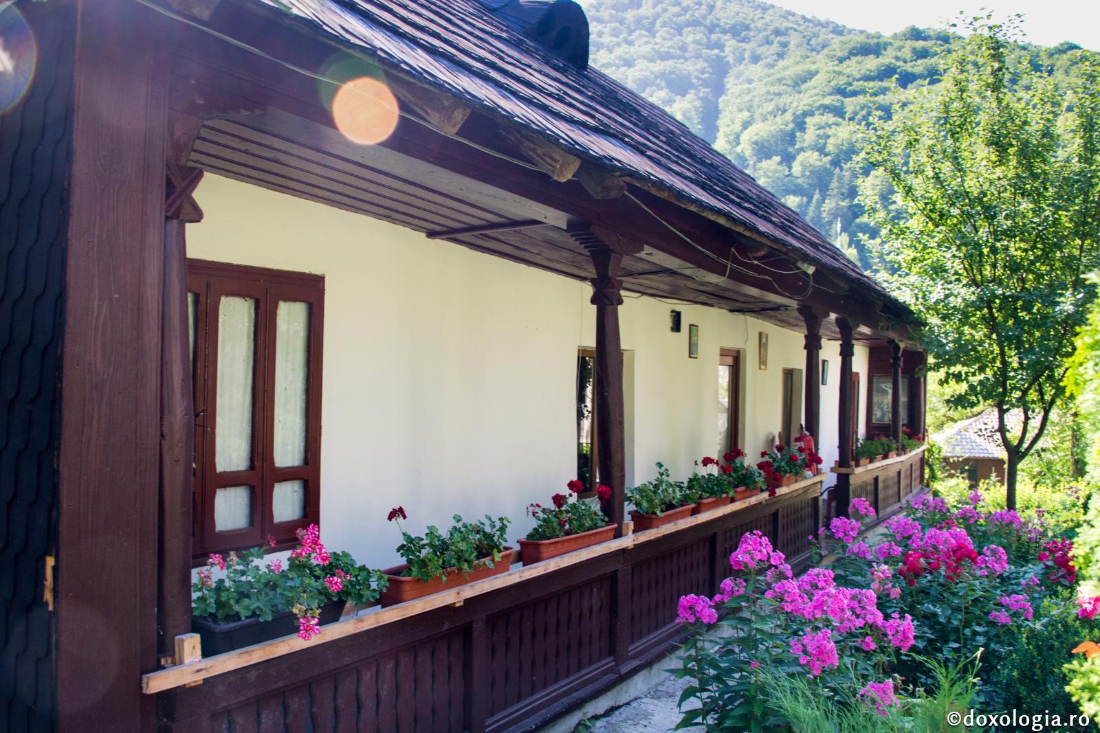 casă cu cerdac