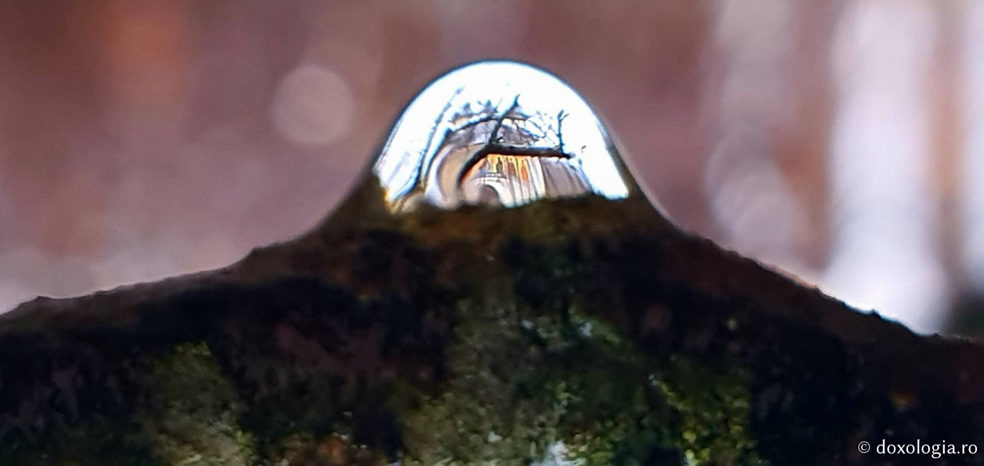 (Foto) Mănăstirea Sihăstria la început de primăvară