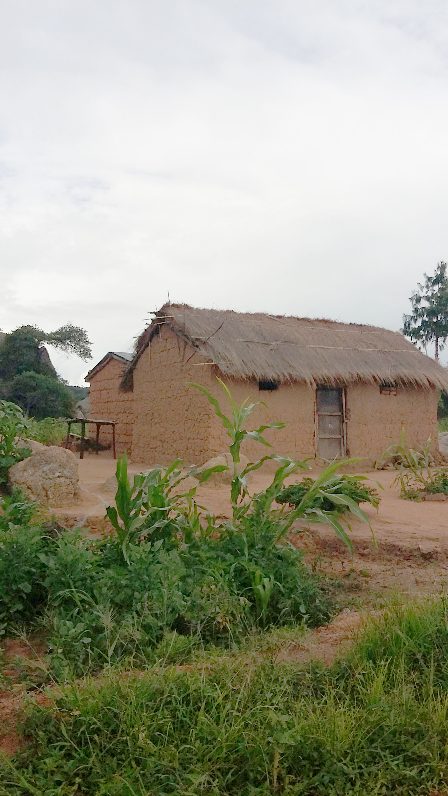 Sfânta Liturghie și daruri pentru copiii din Parohia Ibogu