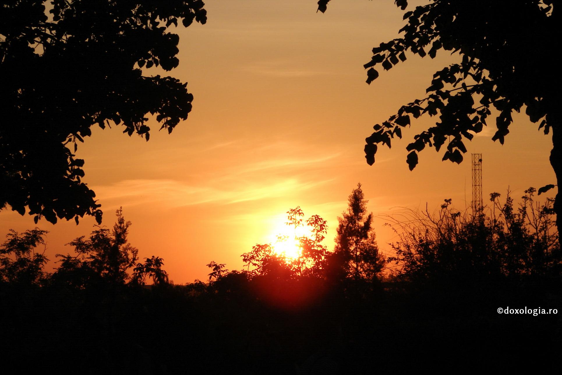 (Video) Cum să ne păstrăm liniștea sufletească în vremuri de coronavirus?