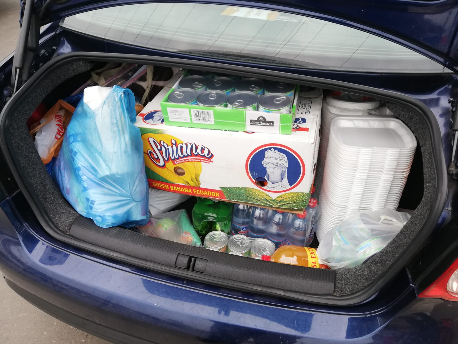 12 persoane vârstnice aflate în autoizolare, ajutate de voluntarii Colegiului „Sfântul Nicolae” din Iași