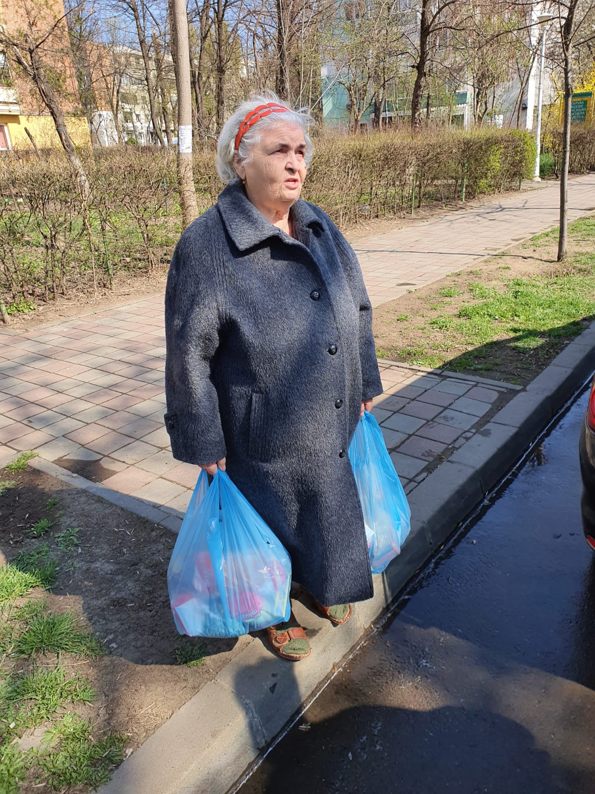 Activități caritabile și sociale pentru 28 de vârstnici din Iași Activități caritabile și sociale pentru 28 de vârstnici din Iași