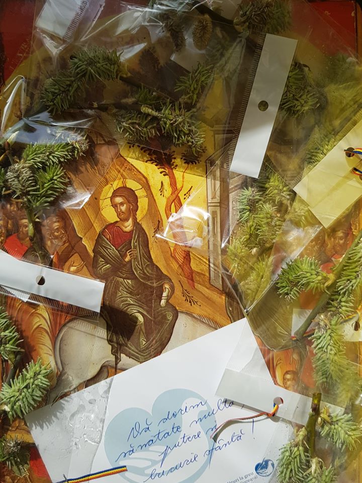Crenguțe binecuvântate și mesaje de încurajare, dăruite  medicilor și pacienților din Suceava și Rădăuți  în Duminica Floriilor