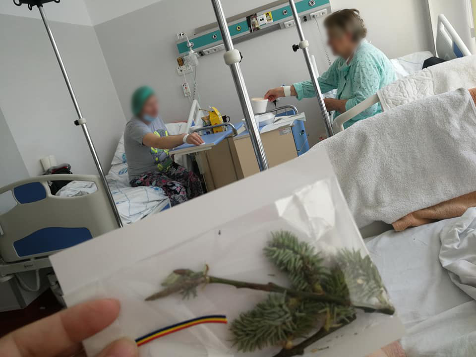 Crenguțe binecuvântate și mesaje de încurajare, dăruite  medicilor și pacienților din Suceava și Rădăuți  în Duminica Floriilor