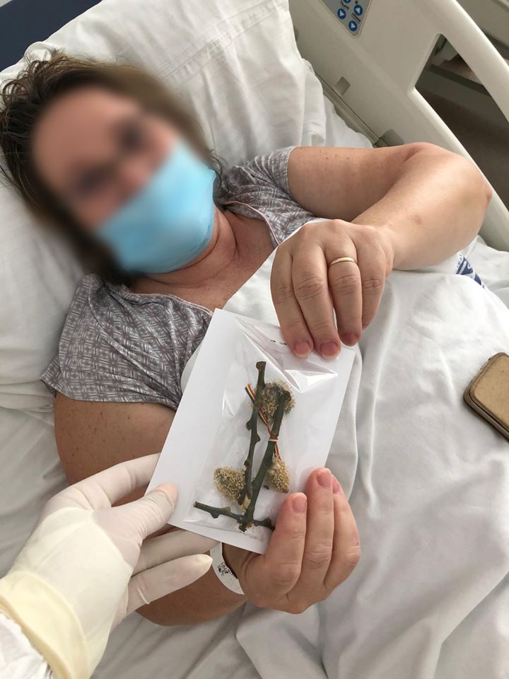 Crenguțe binecuvântate și mesaje de încurajare, dăruite  medicilor și pacienților din Suceava și Rădăuți  în Duminica Floriilor