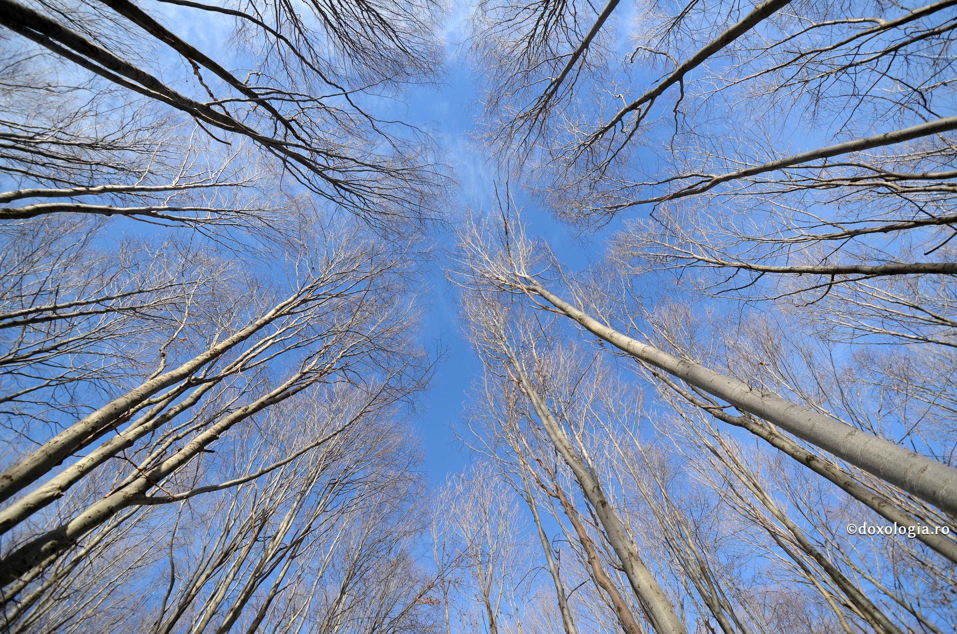Foto: Valentina Bîrgăoanu Liberi chiar și când... #StămAcasă