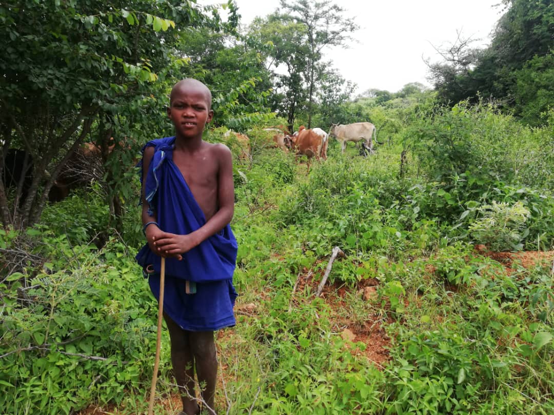 Iustin are 11 ani și muncește un an întreg pentru a primi drept salariu… un ied