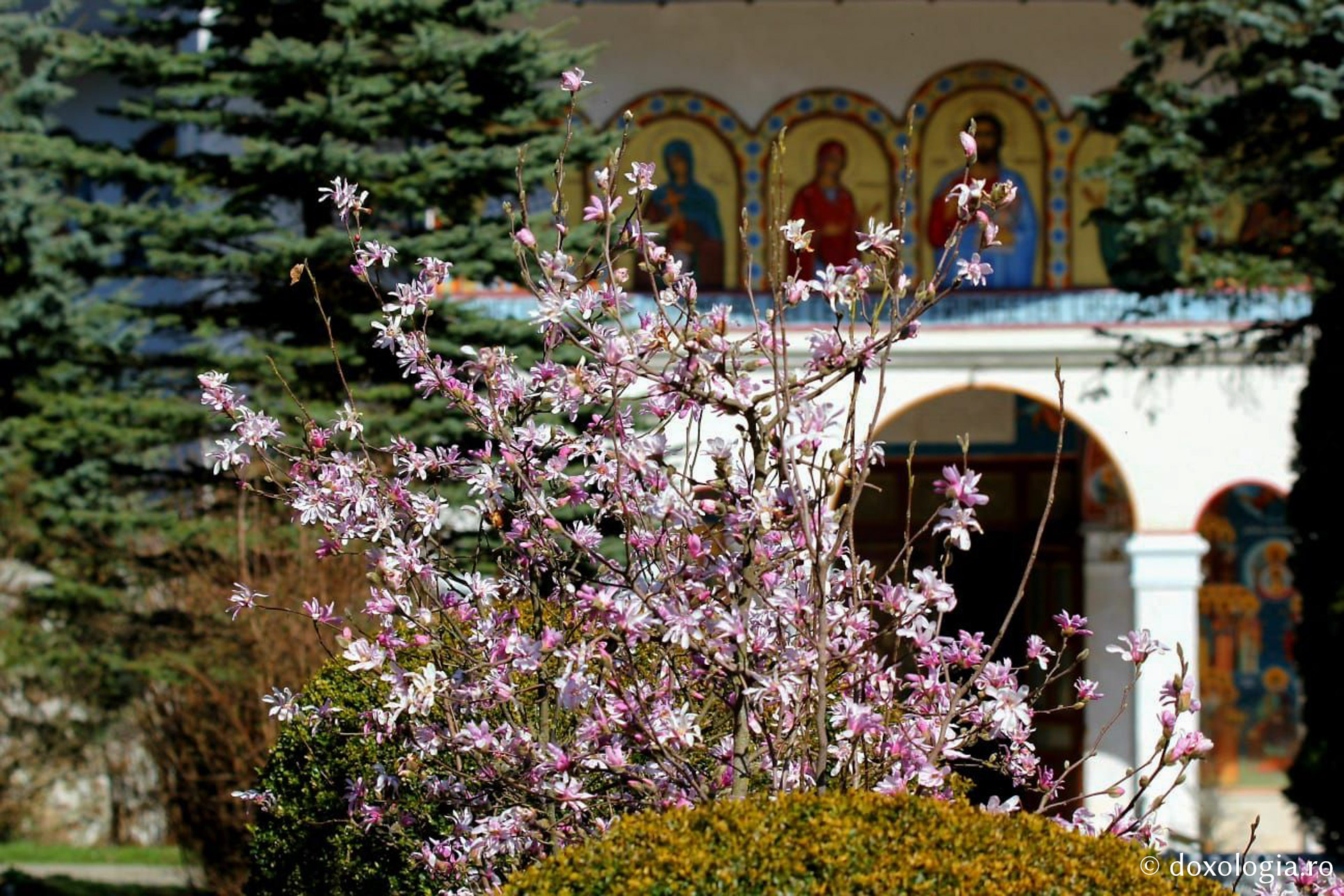 (Foto) Mănăstirea Sihăstria în ajun de Florii, aprilie 2020