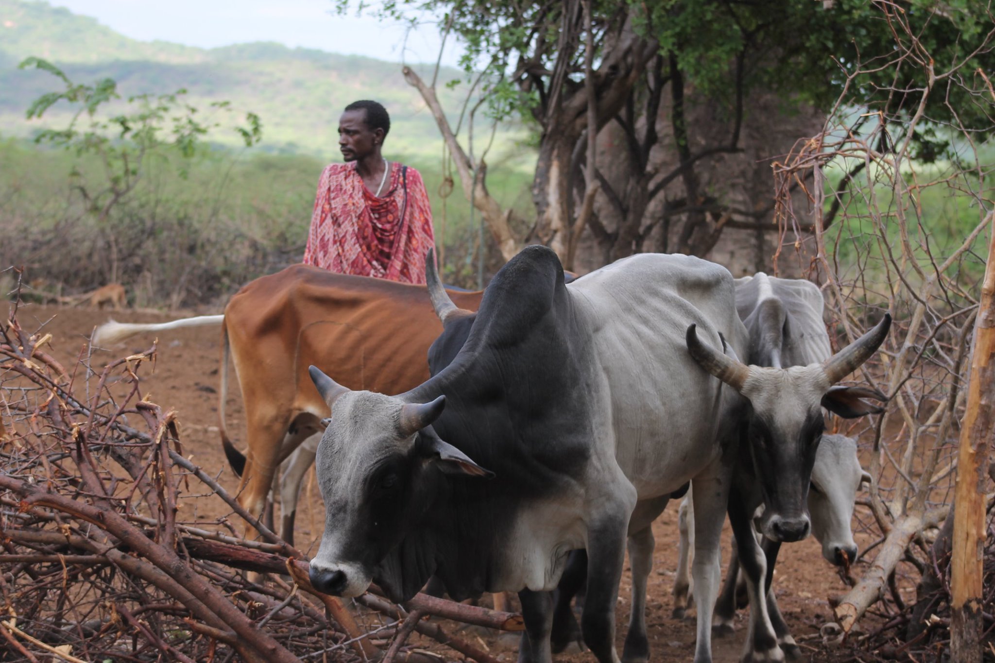 135 de persoane au donat 48.891 lei pentru lucrarea Centrului Misionar Ortodox din Kidamali