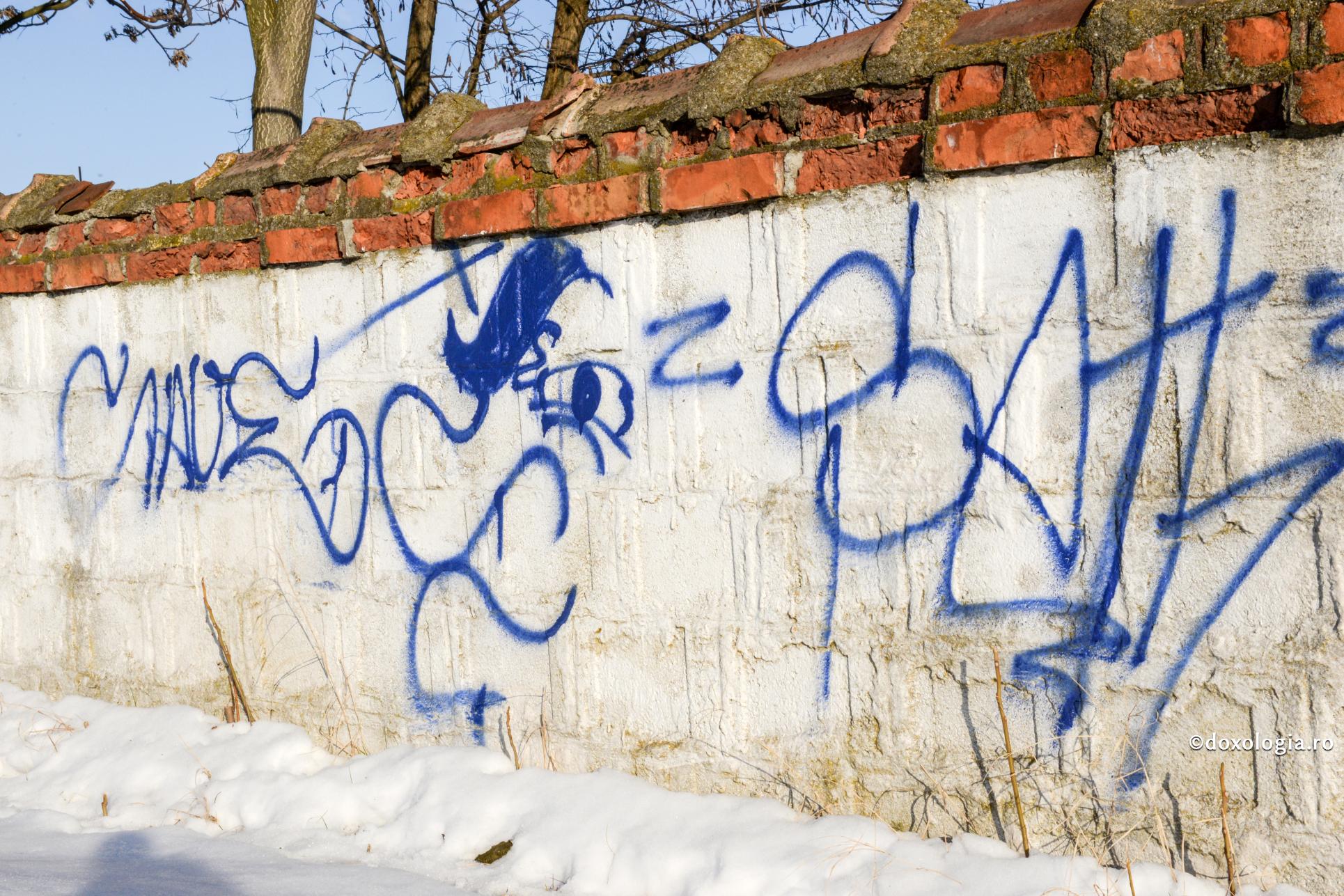 Foto: Oana Nechifor (Video) Fiul meu este neascultător și face multe rele. Cum îl pot aduce pe calea cea bună?