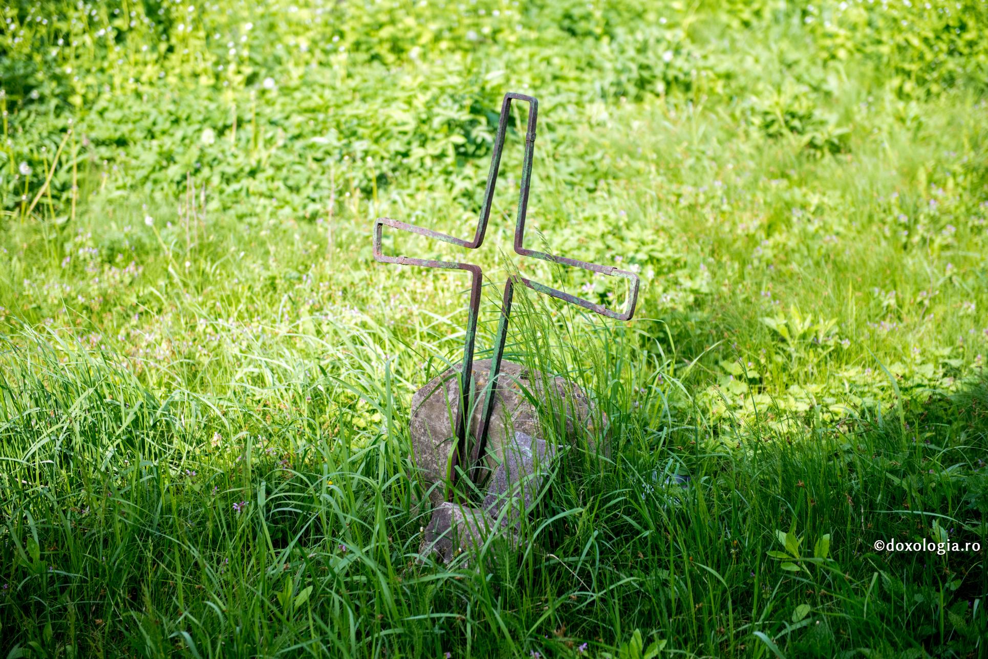 (Video) Ce ne puteți spune despre Viața de Apoi?