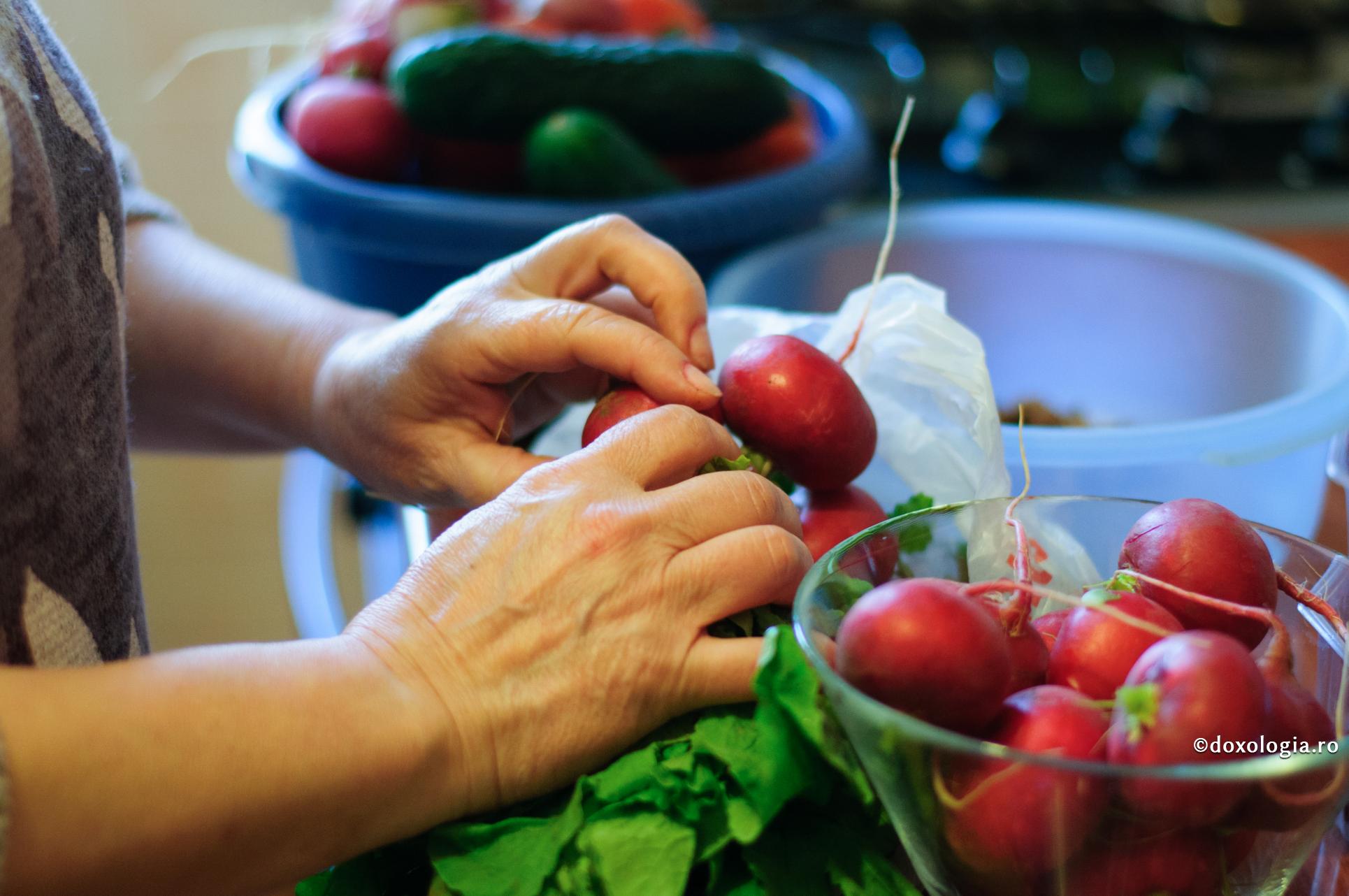 Imunitatea la îndemâna noastră