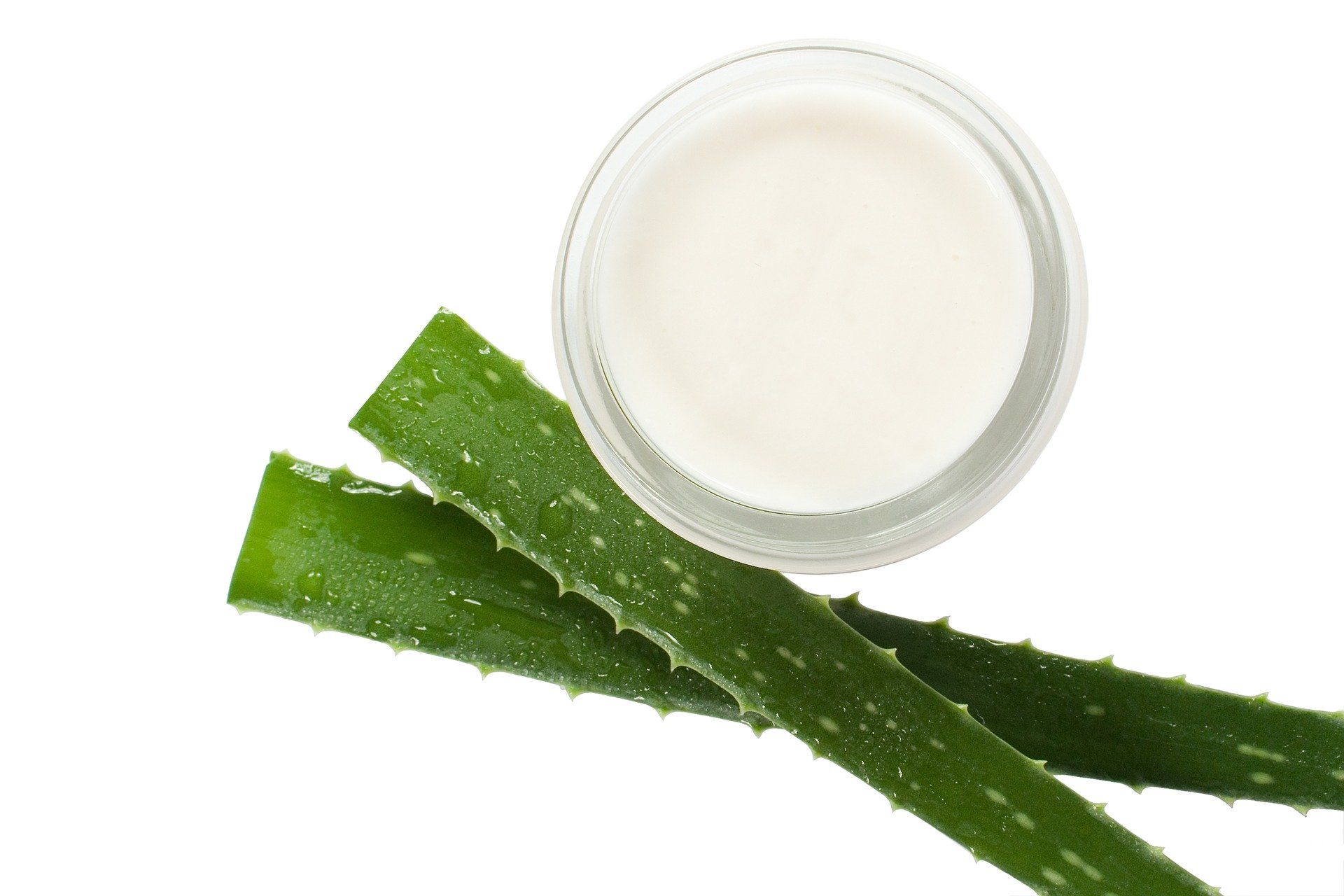 Beneficiile untului de aloe vera pentru piele