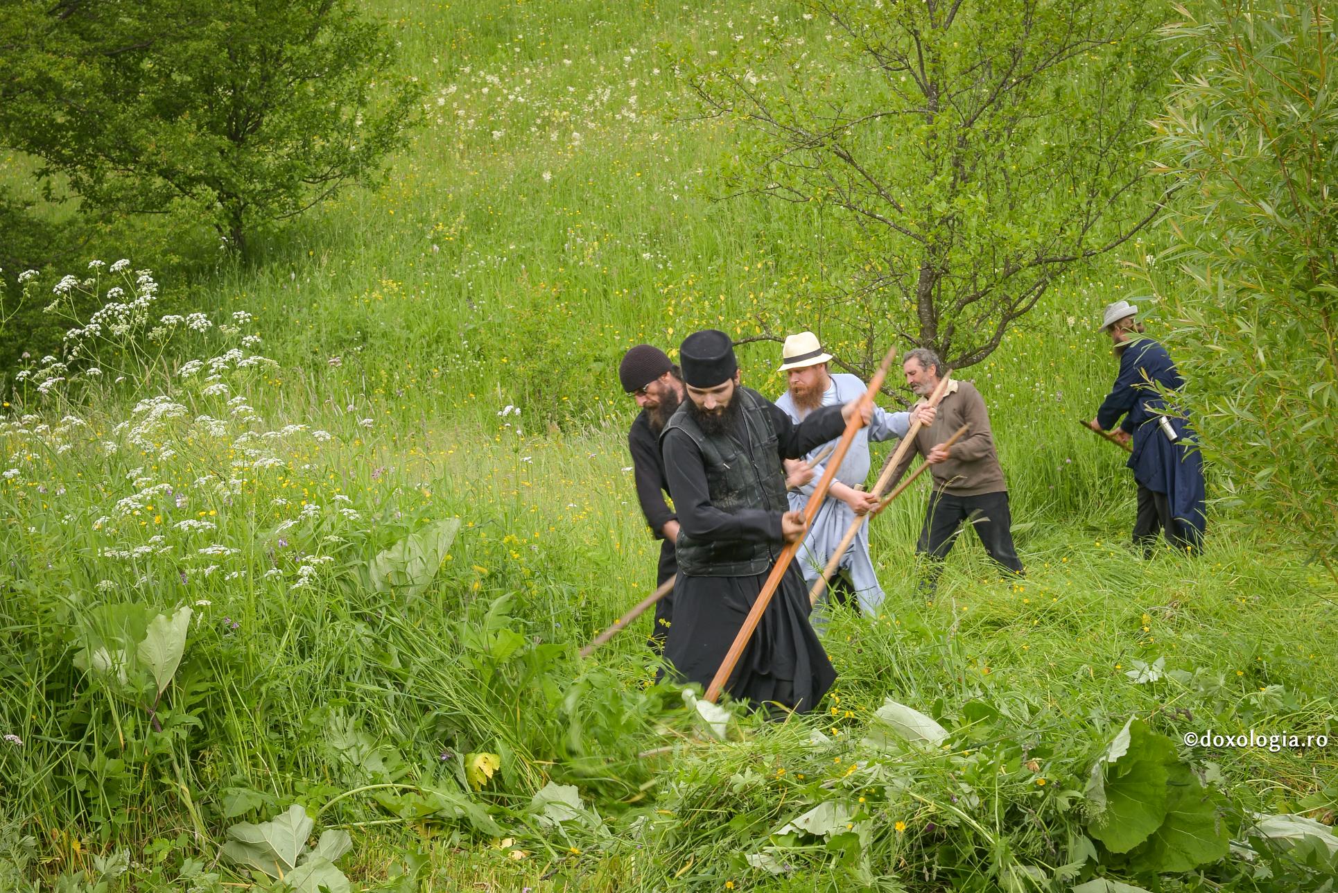 Dragostea pentru muncă împlinește existența oricărui om