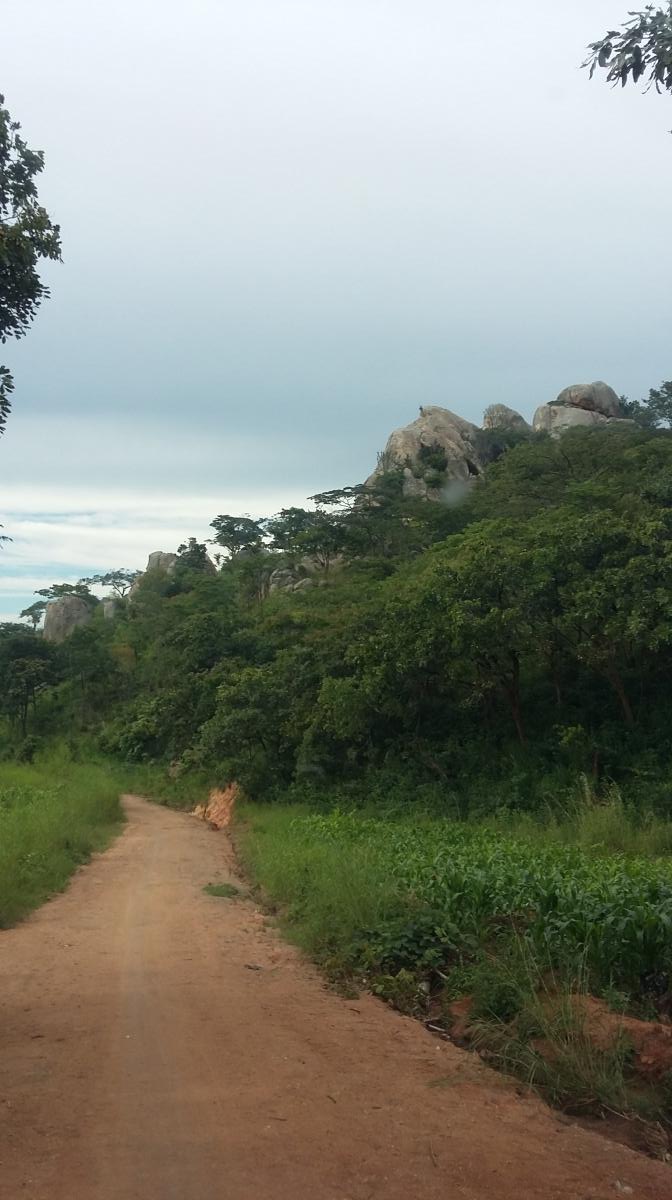 Sfânta Liturghie și daruri pentru copiii din Parohia Ibogu