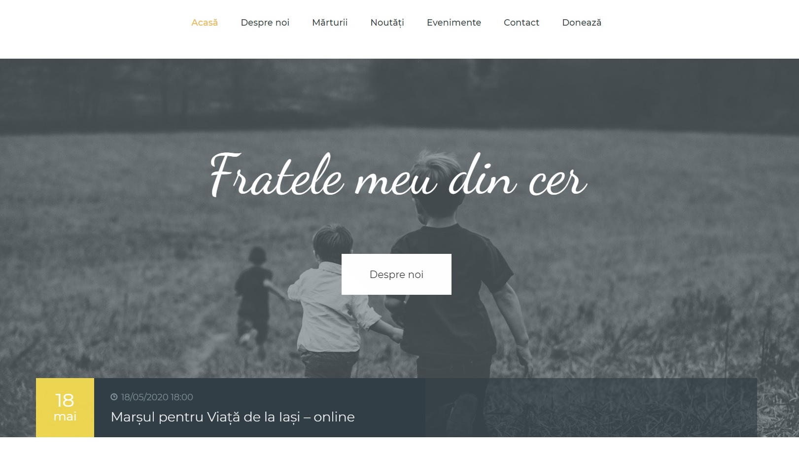 La Marșul pentru Viața online de la Iași se va lansa site-ul fratelemeudincer.ro