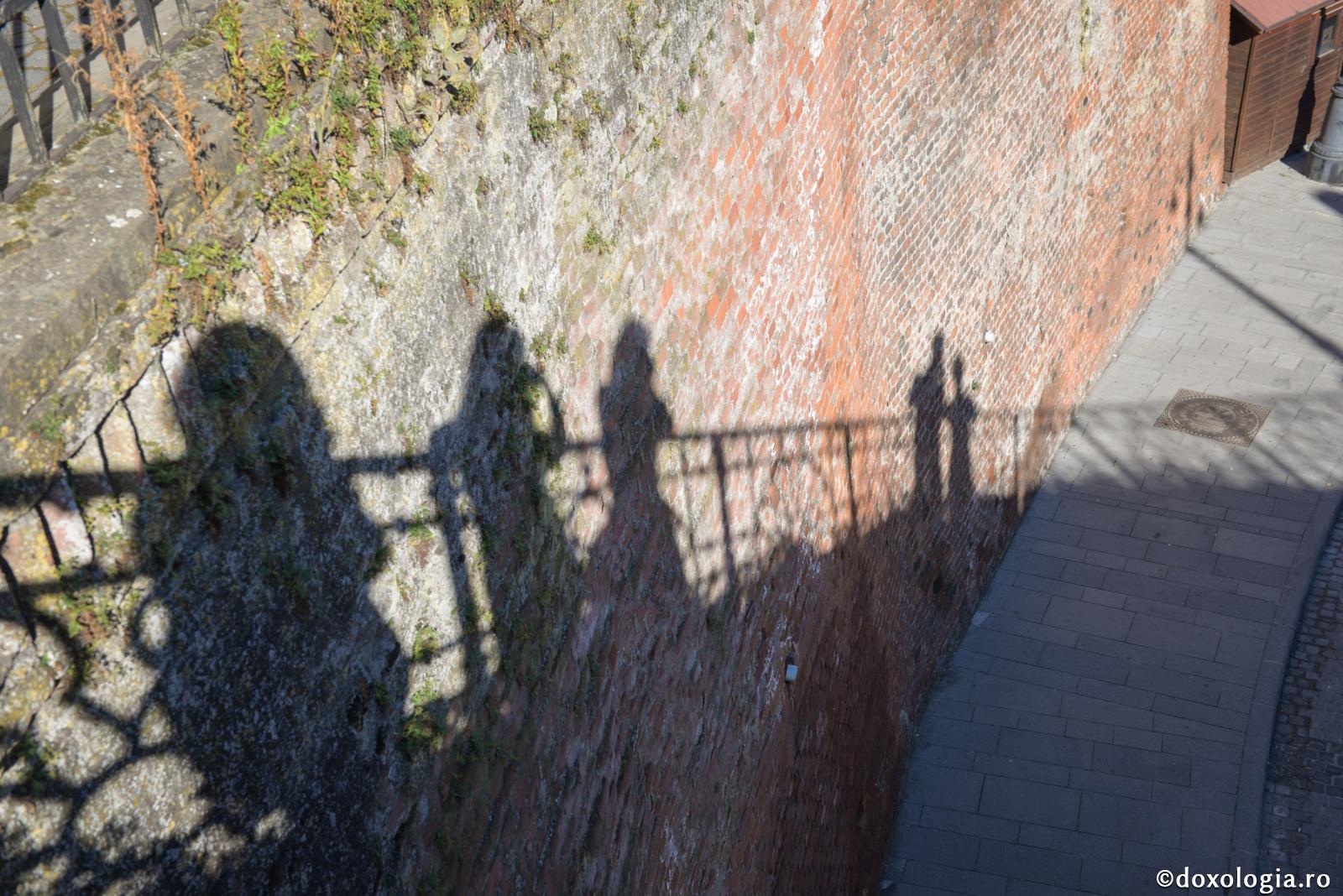 Și chiar îmi vine să mă retrag!