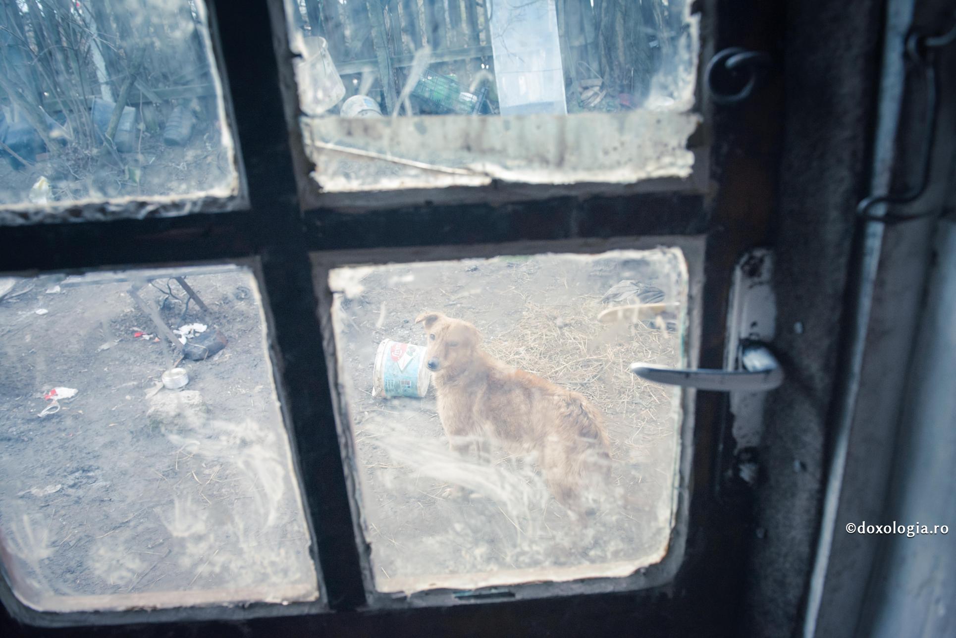 Bogăţia nu-i un păcat, sărăcia nu-i o virtute