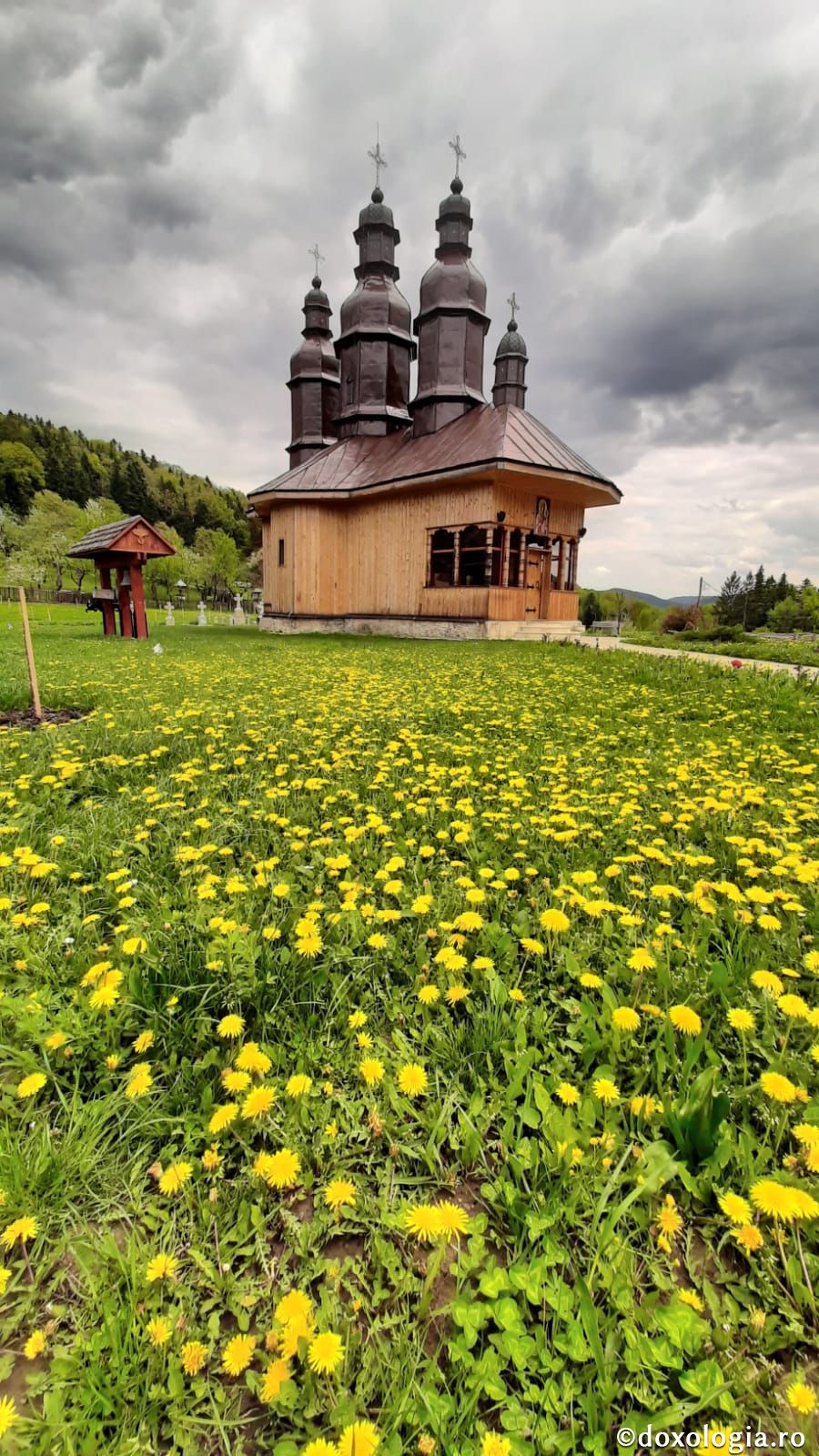 (Foto) Primăvara în poiana Raiului de la Pocrov