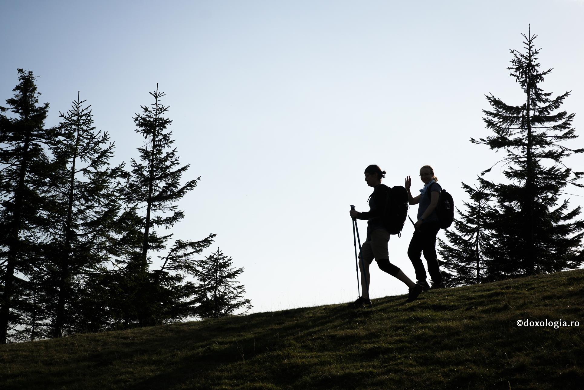 Cum se cuvine a lupta cu lenea