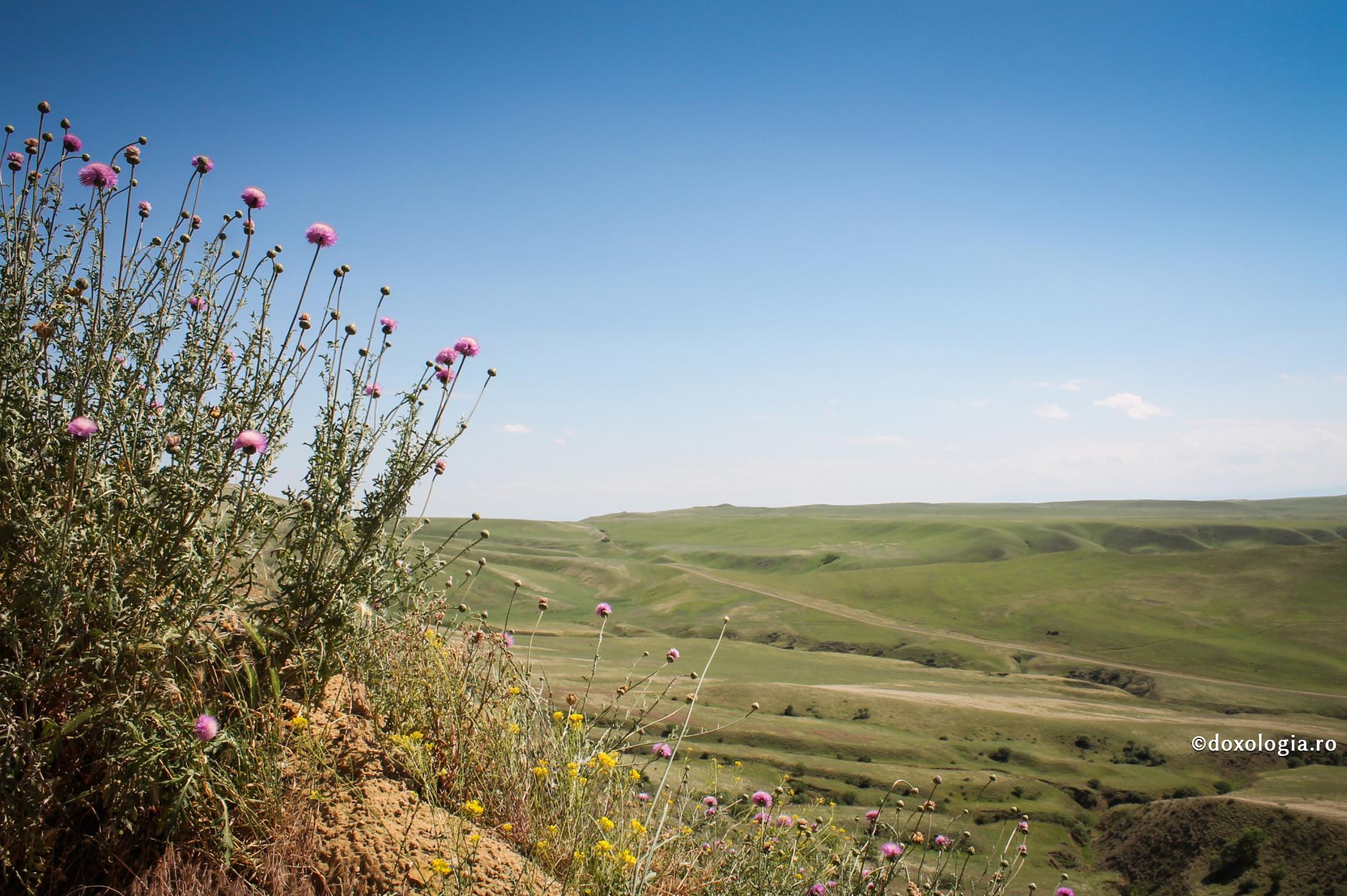 Patimile se manifestă în taina sufletului, înlocuind tot binele sădit în noi de Dumnezeu