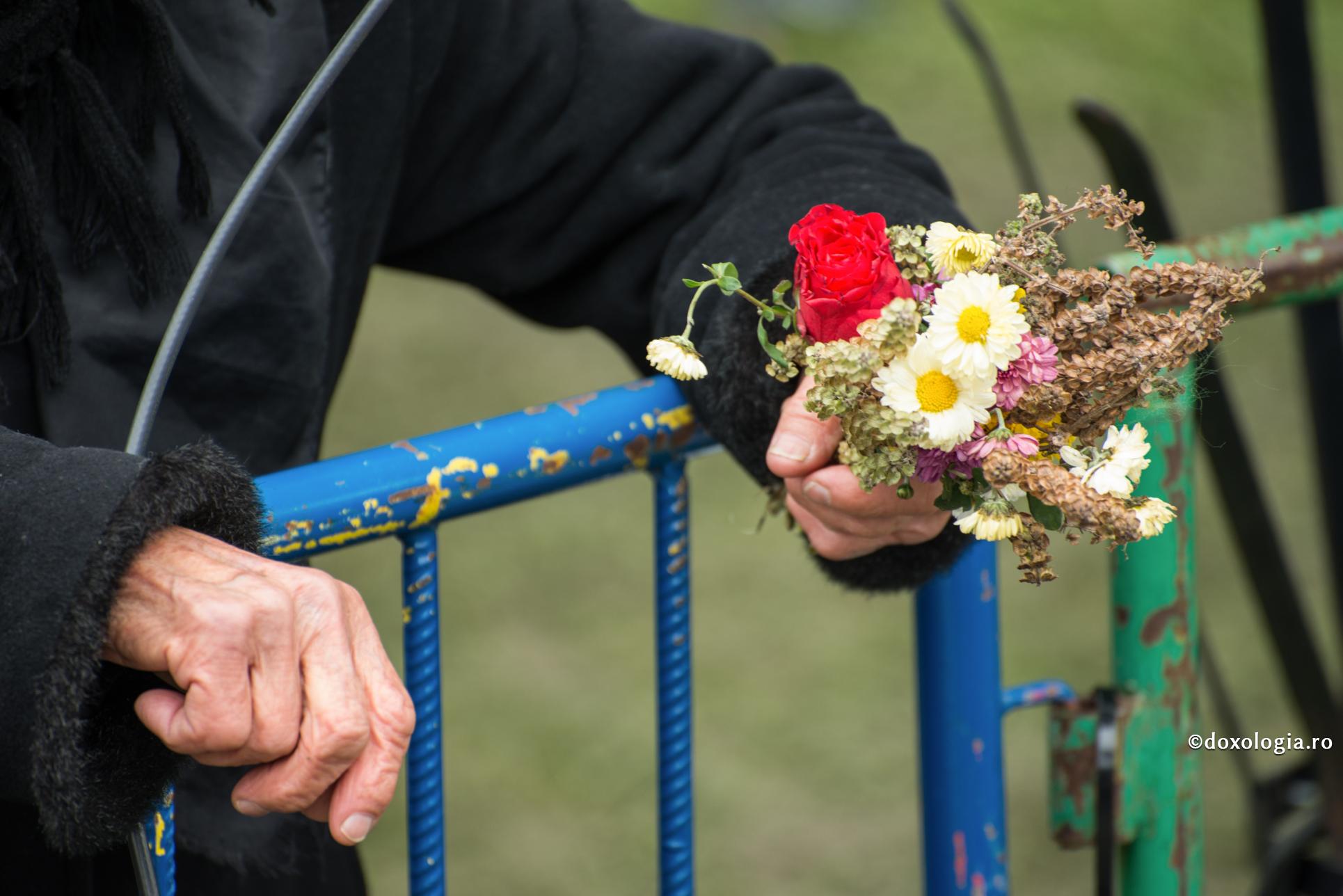 flori și busuioc în mână