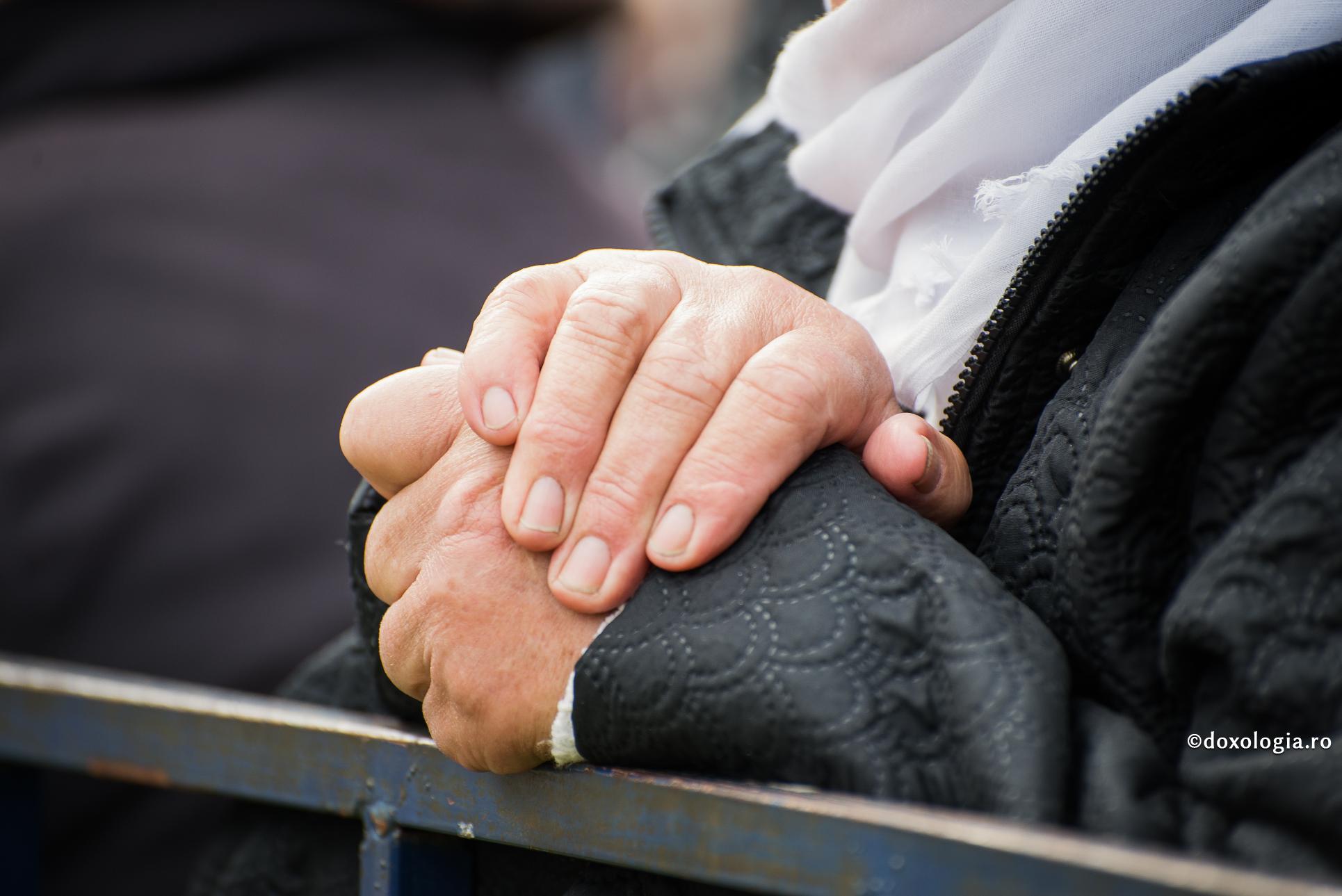 Foto: Oana Nechifor Din leacurile bunicii pentru artroză