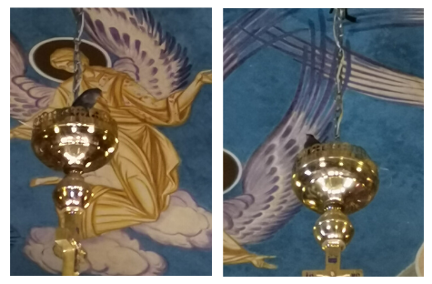 Și-au făcut cuib în biserică: La Sighișoara, două perechi de păsări cântă împreună cu preotul în timpul Sfintei Liturghii