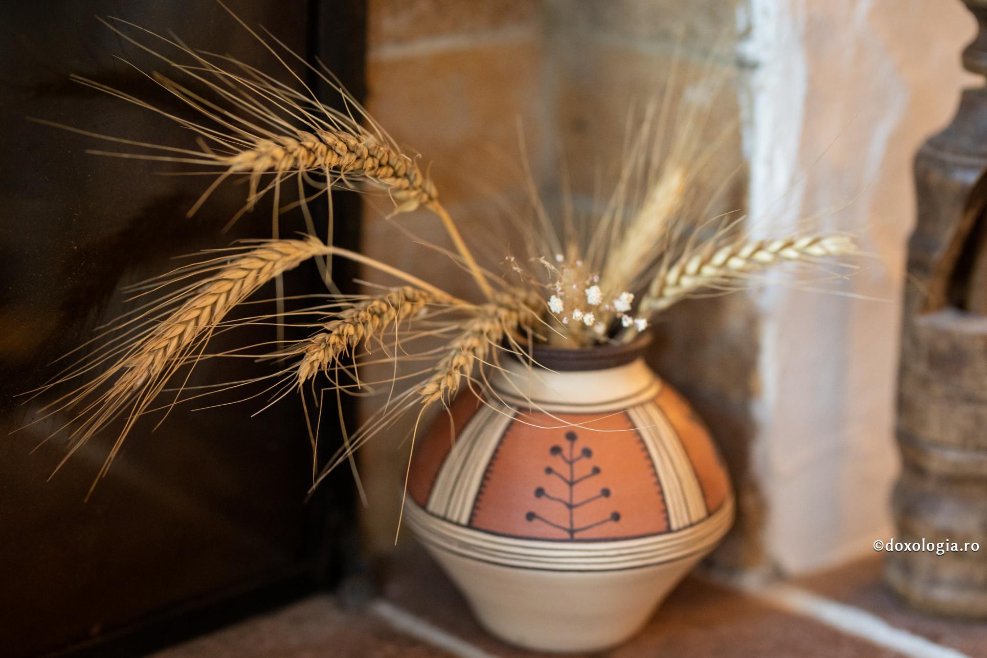 Remediu cu tărâțe pentru constipația cronică