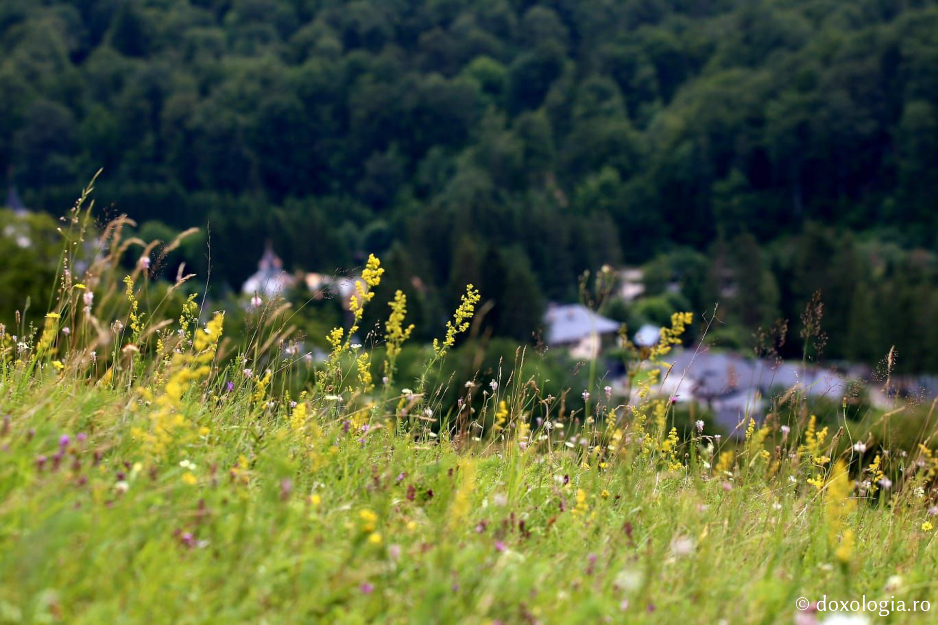 (Foto) Mănăstirea Sihăstria – o oază de linişte şi regăsire sufletească