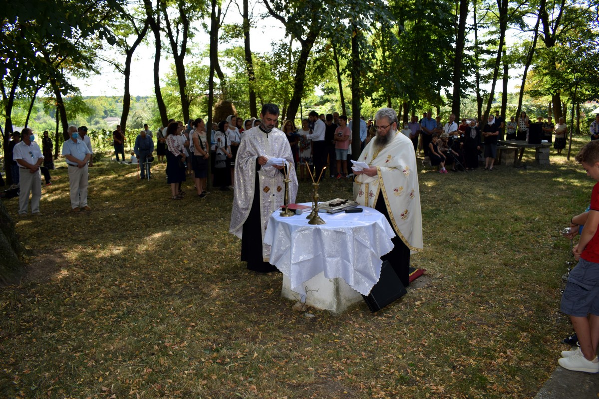 Slujbă misionară în Parohia Icușeni-Vorona