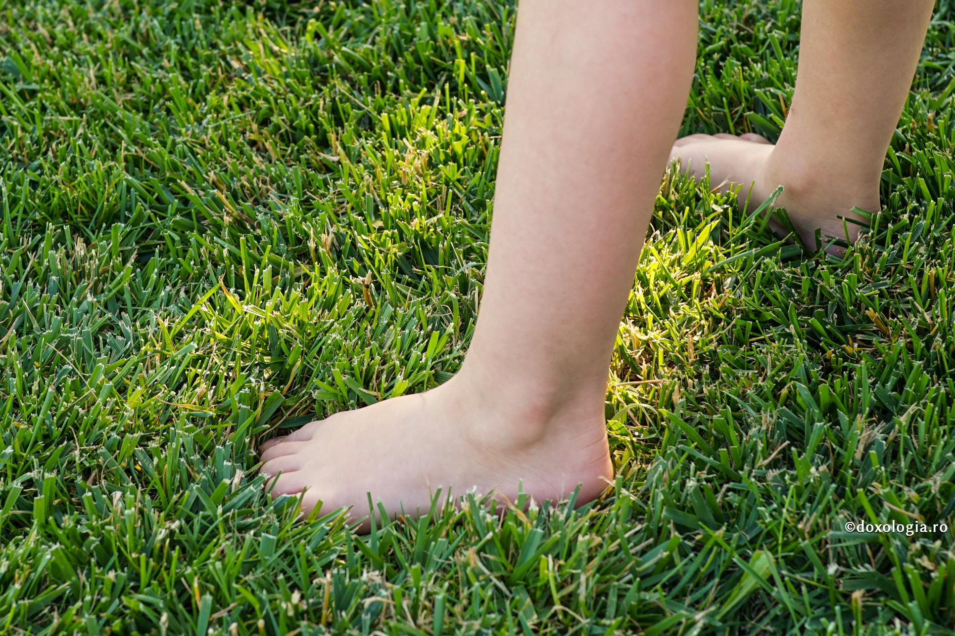 Cum putem preveni capriciile copiilor