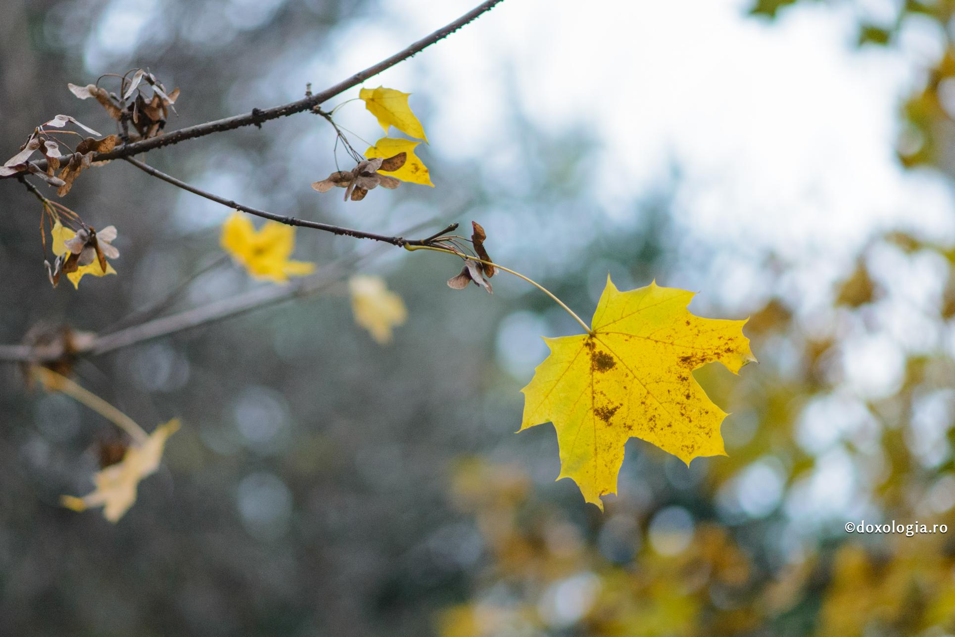 Foto: Oana Nechifor Un nou septembrie – bucuria reînceperii în unitate