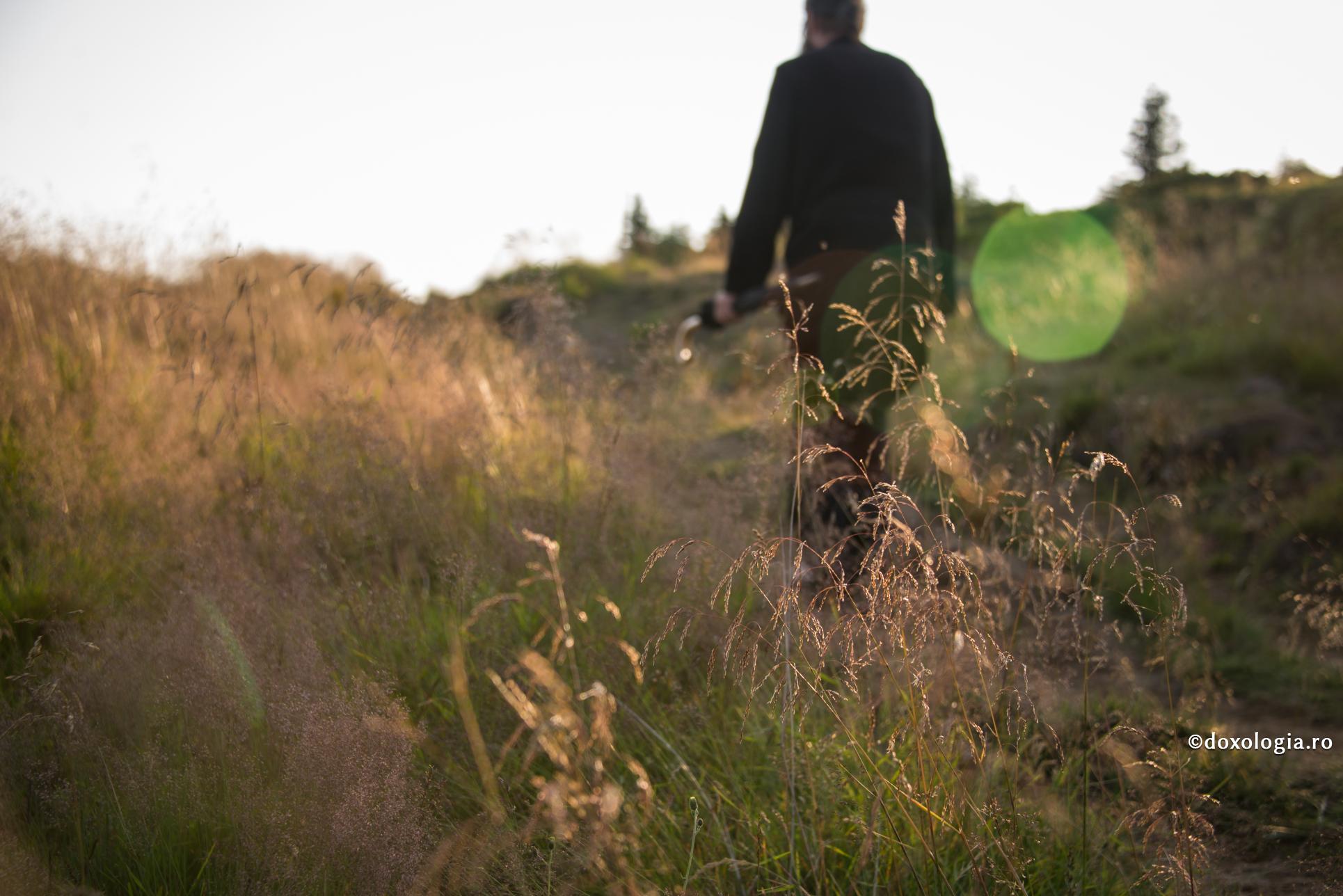 Omul este principiul de legătură între Dumnezeu şi restul creaţiei