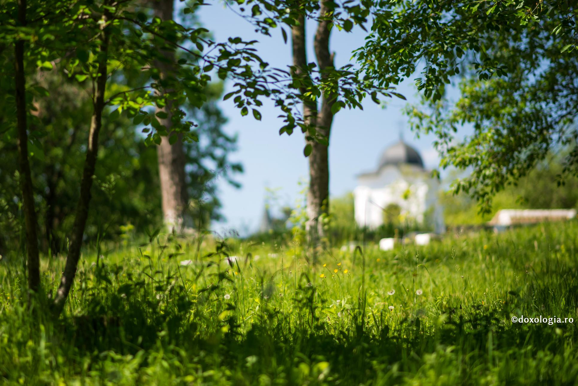 Nu prin nelucrare se odihnește sufletul în Rai