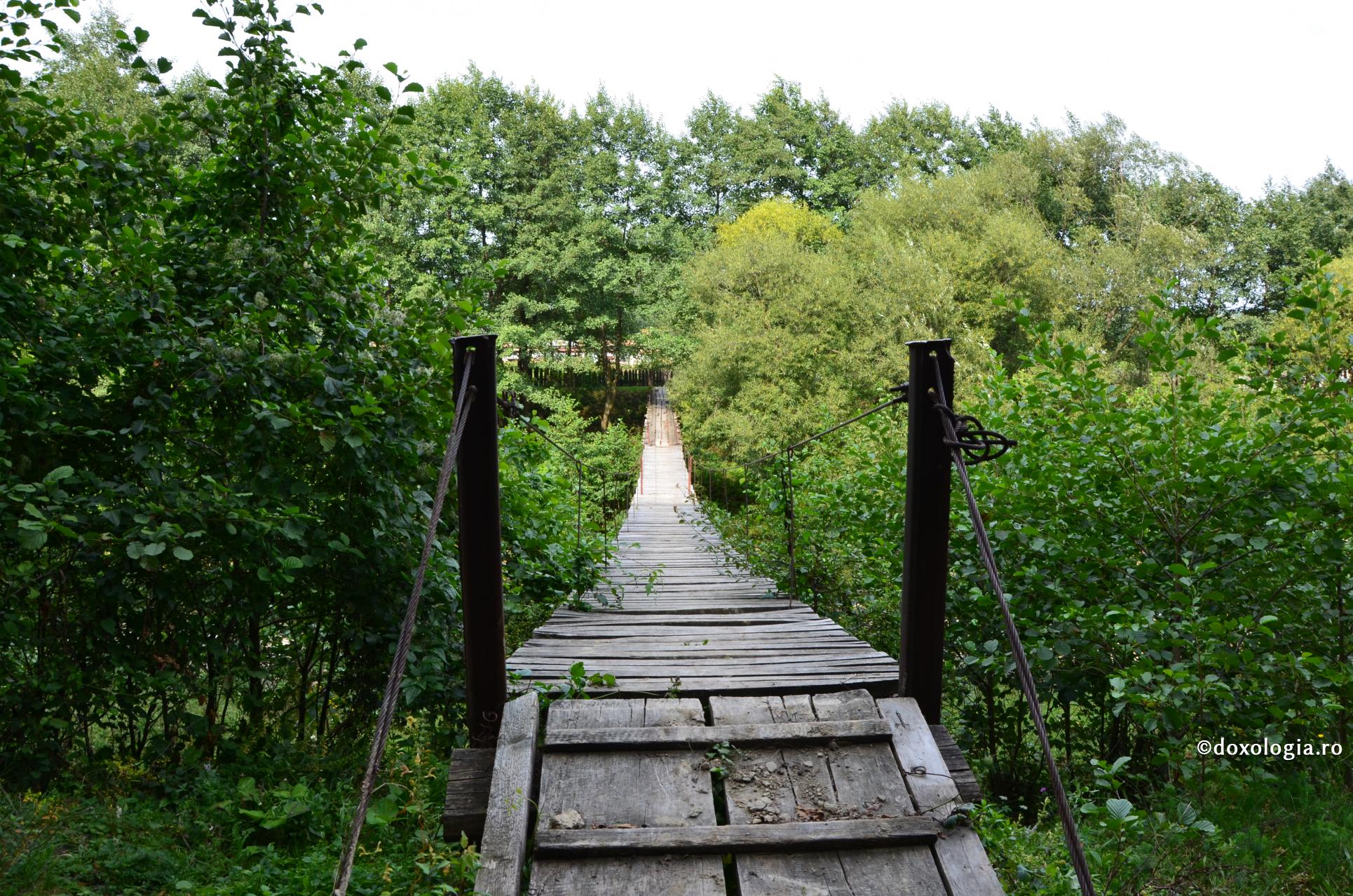 Libertatea trebuie asumată