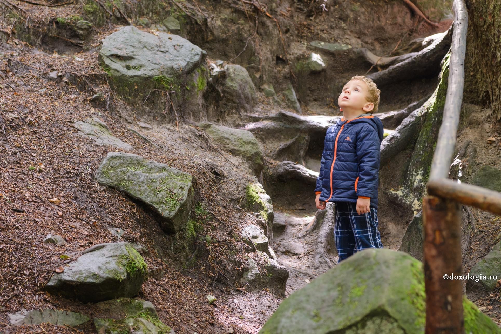 Ţelul nevoinței noaste este să ne simțim în legătură cu Dumnezeu