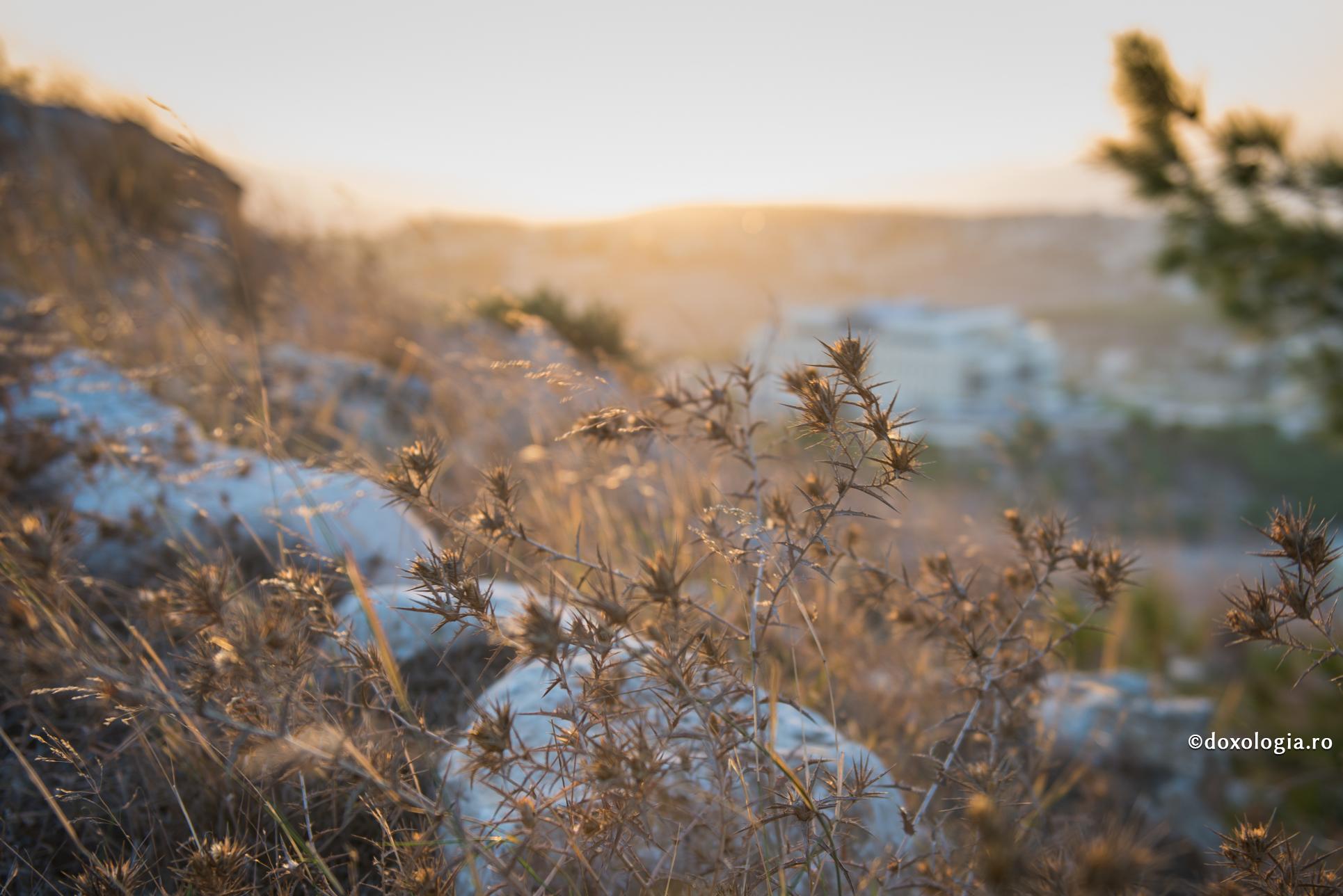 „Din gura noastră să nu iasă niciun cuvânt rău”