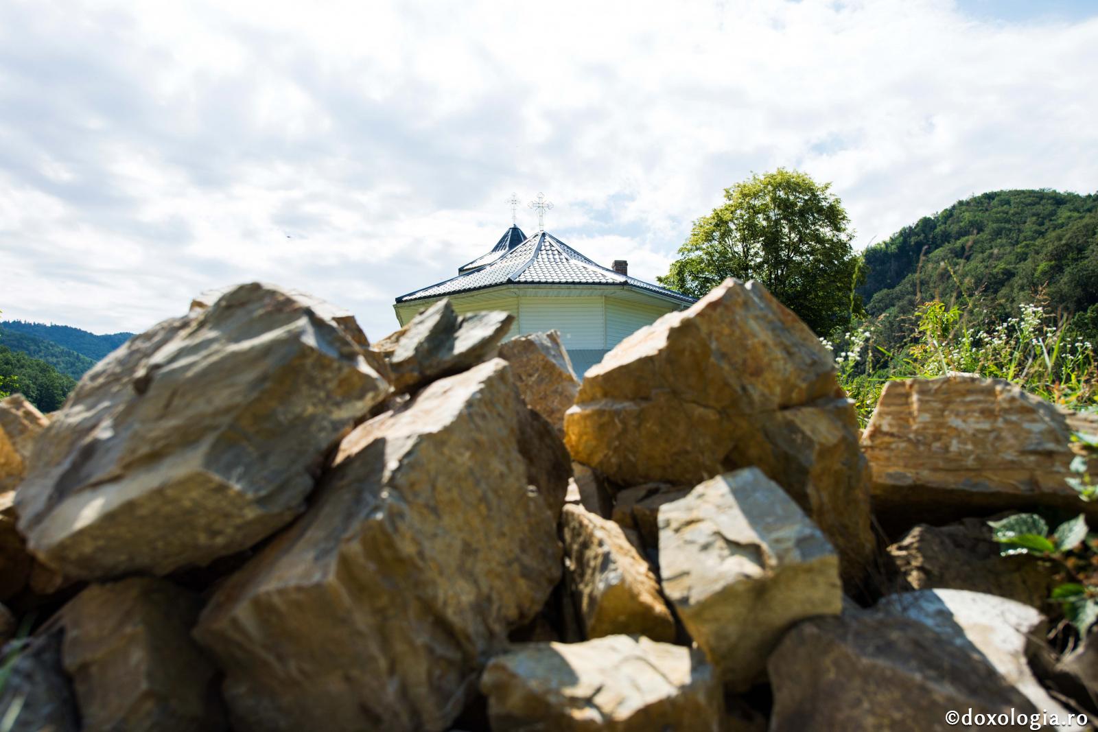 Confruntarea. De dorit, de evitat?