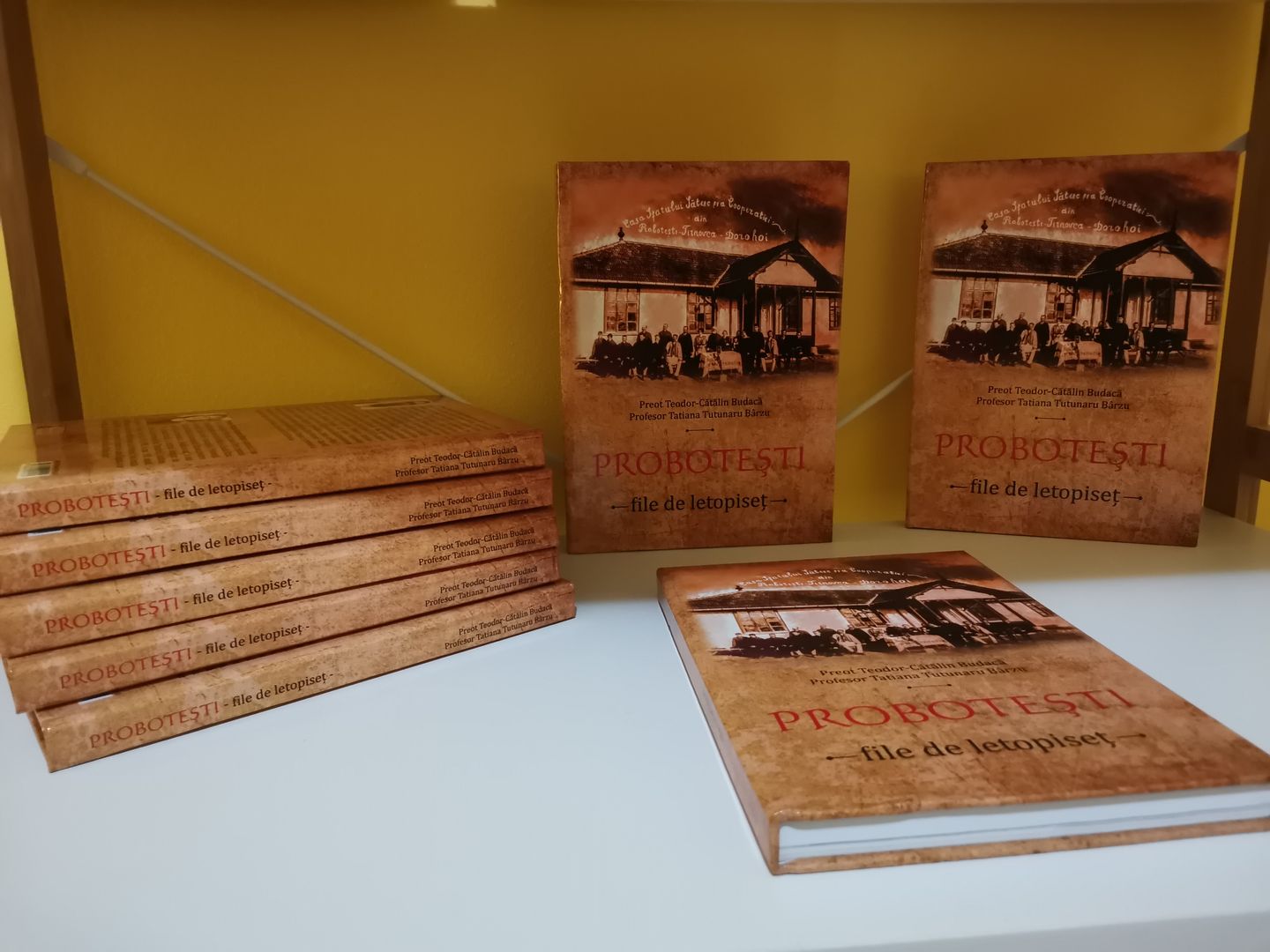 Probotești – File de letopiseț